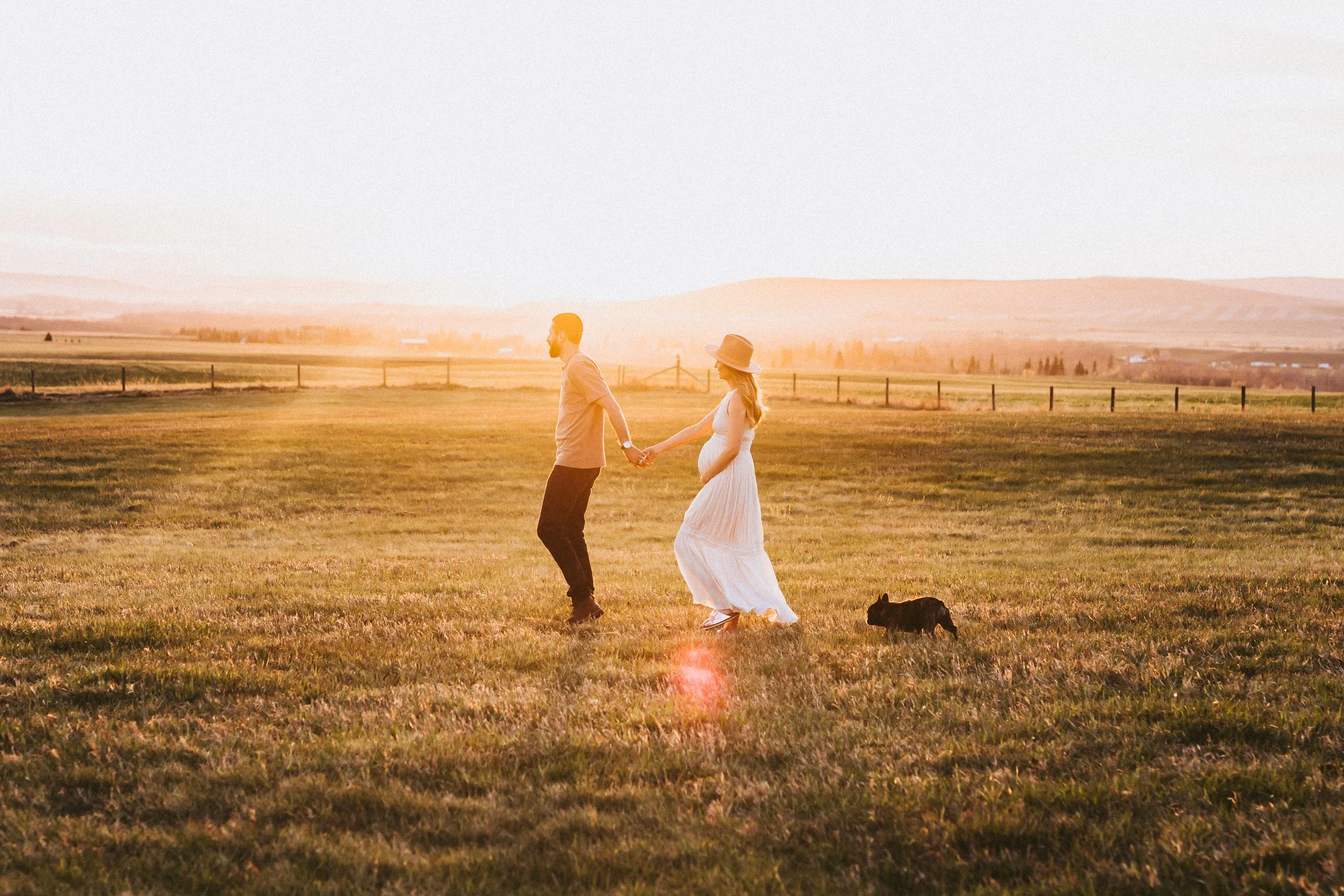 Pregnant couple walking hand in hand through an open field at sunset with their dog during a natural maternity photoshoot