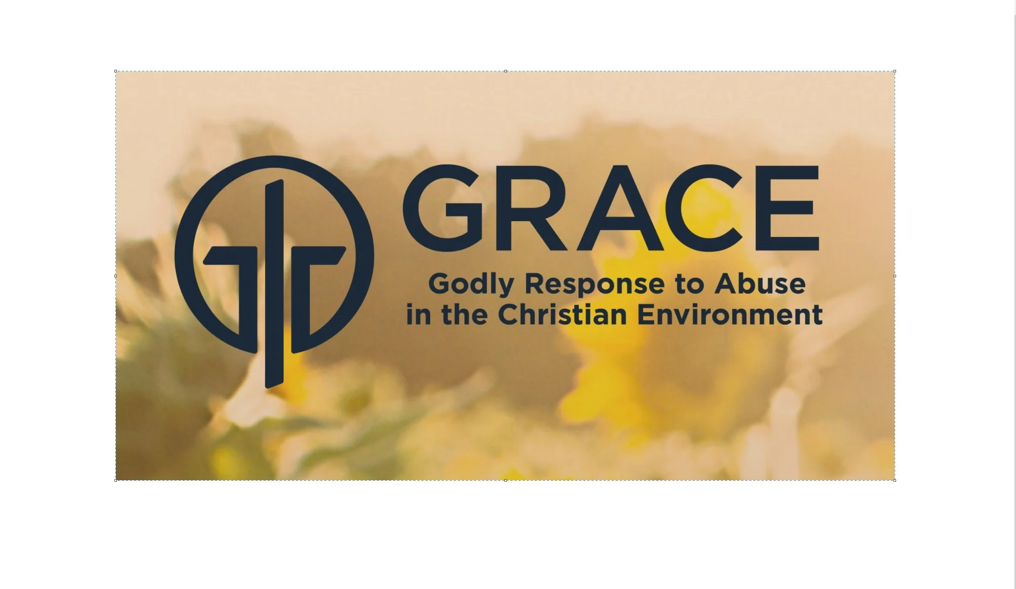 GRACE Investigation Update - March 13, 2026