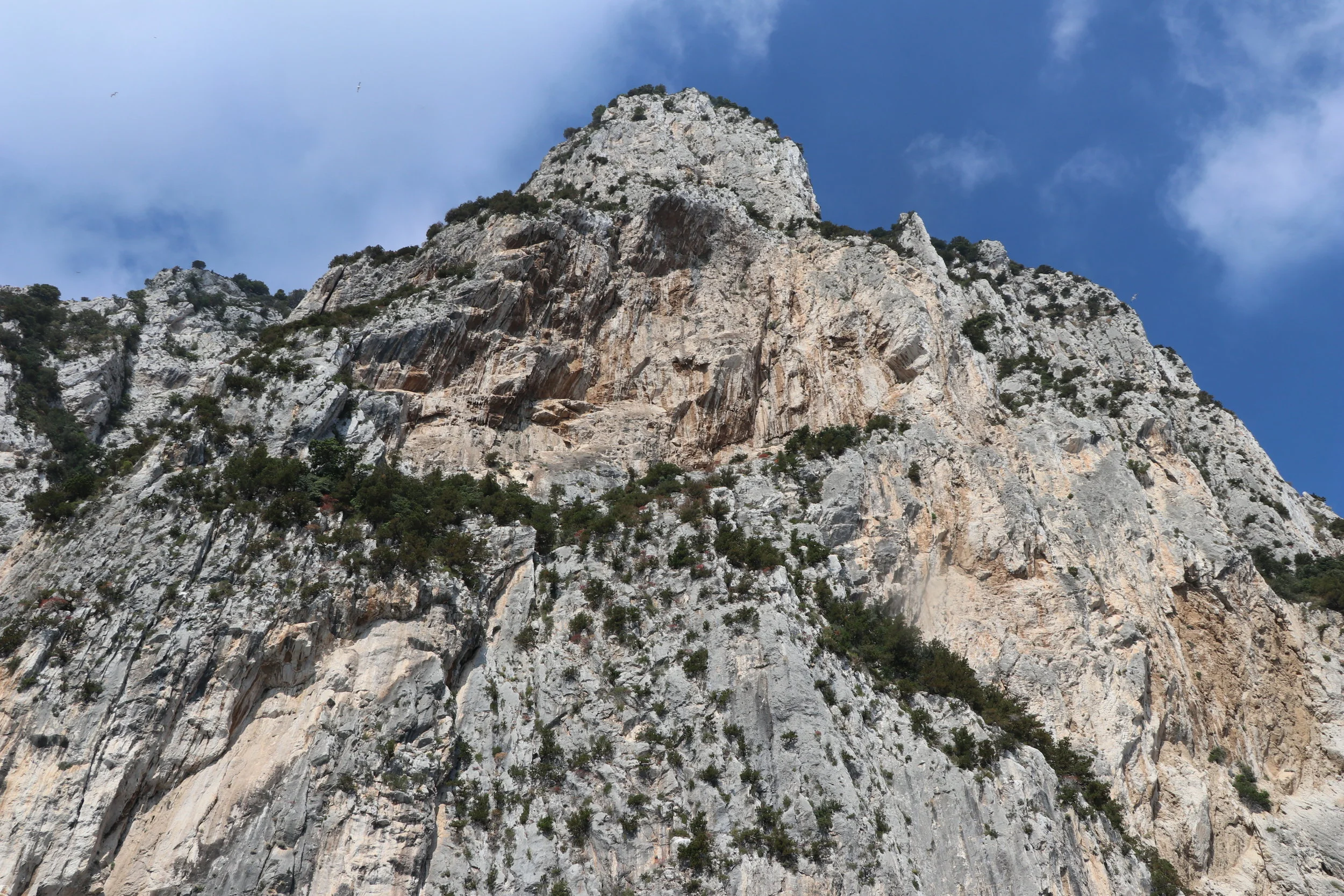 mountains3gm.JPG