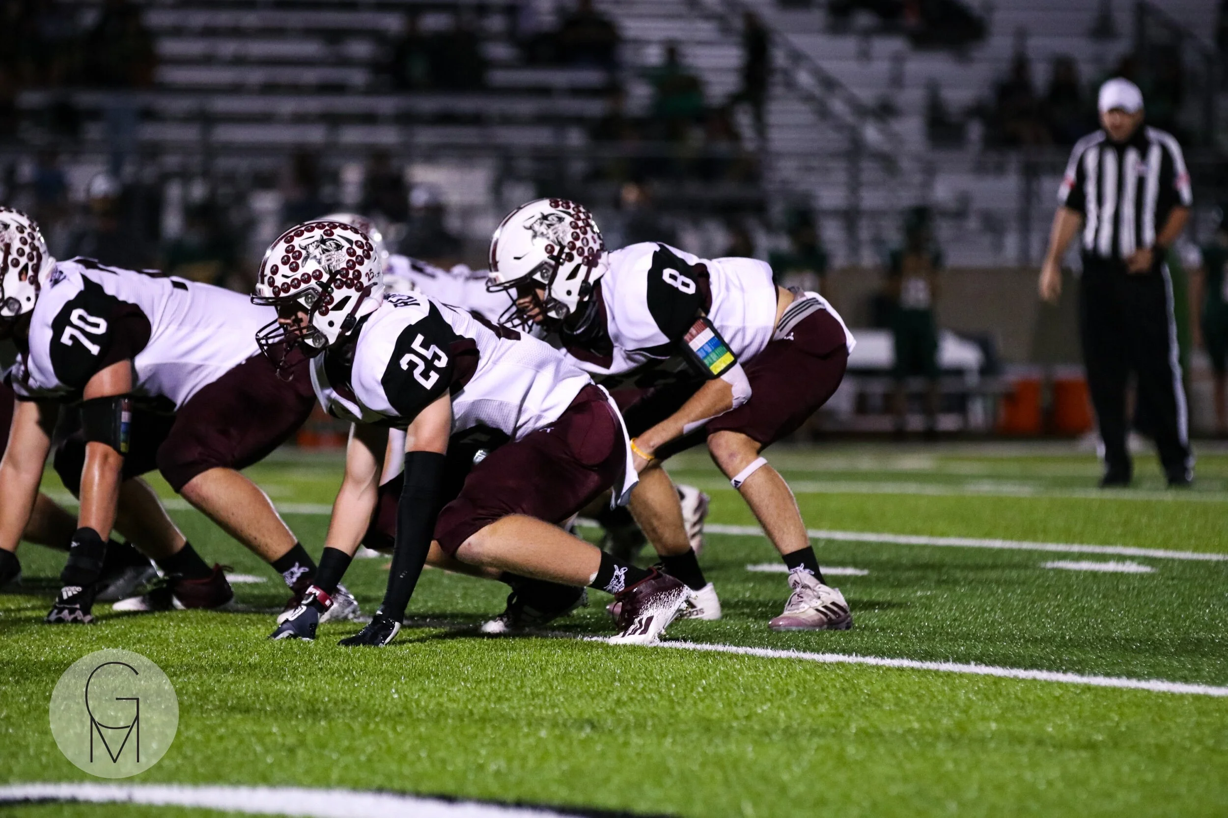 brodiereinecke downgm.jpeg