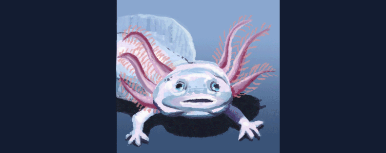 axolotlpanel3.gif
