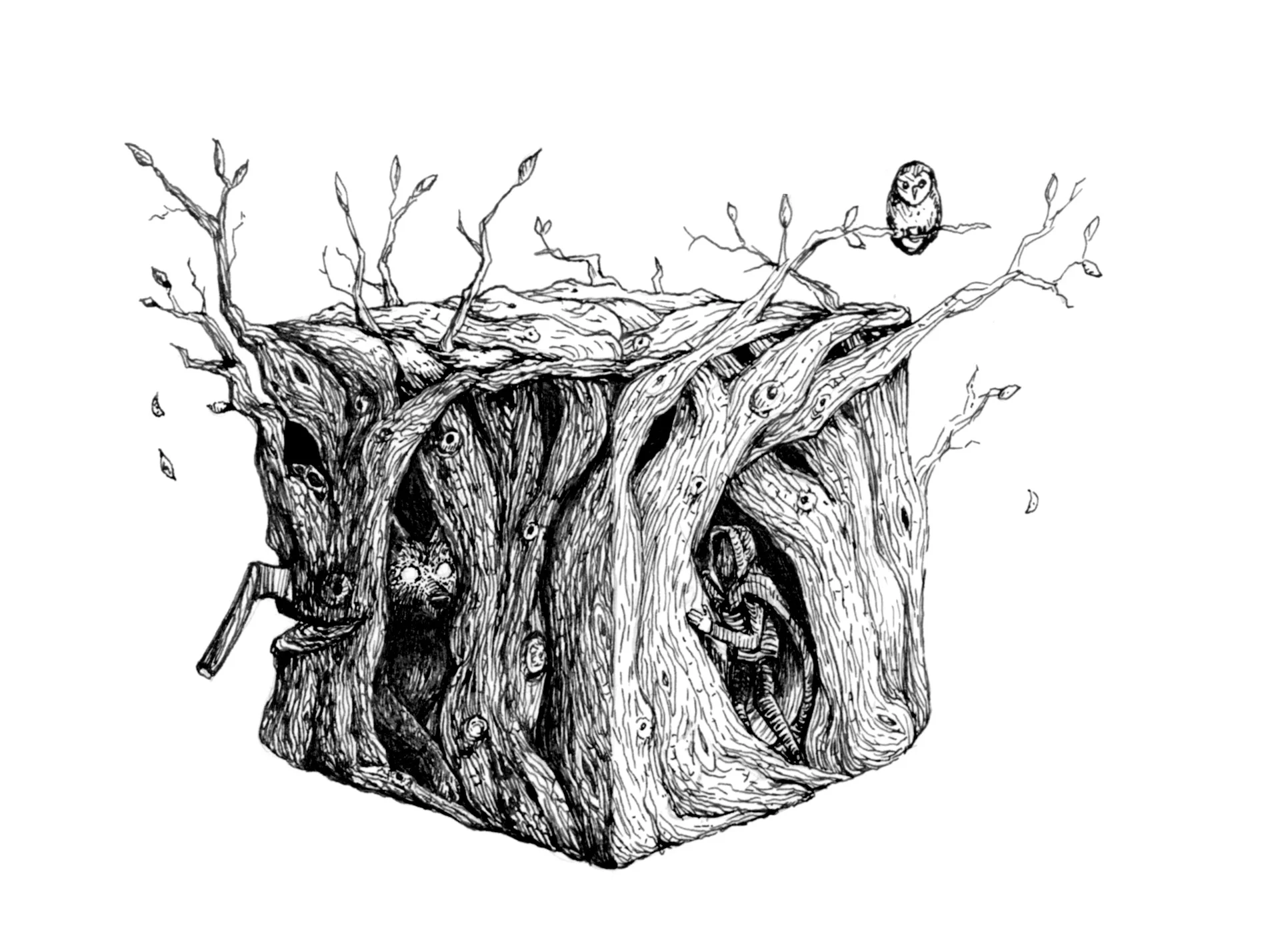 justforestcube.jpg