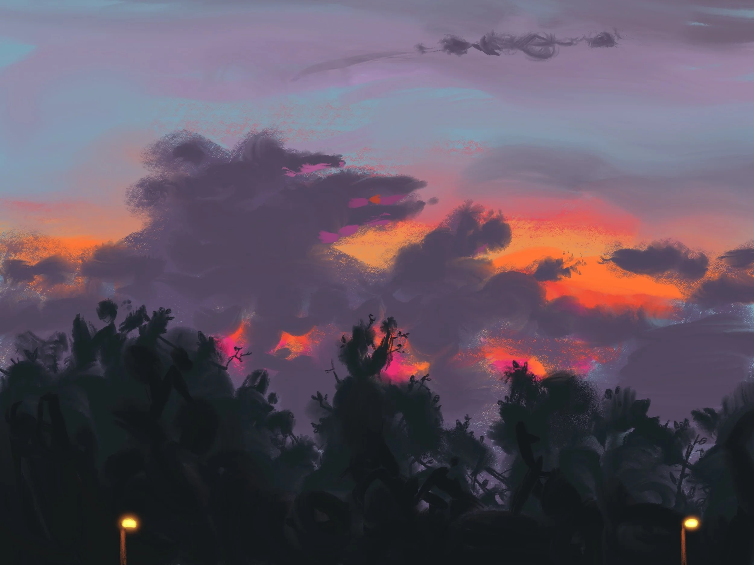 Sunset from the Amtrak Train Window