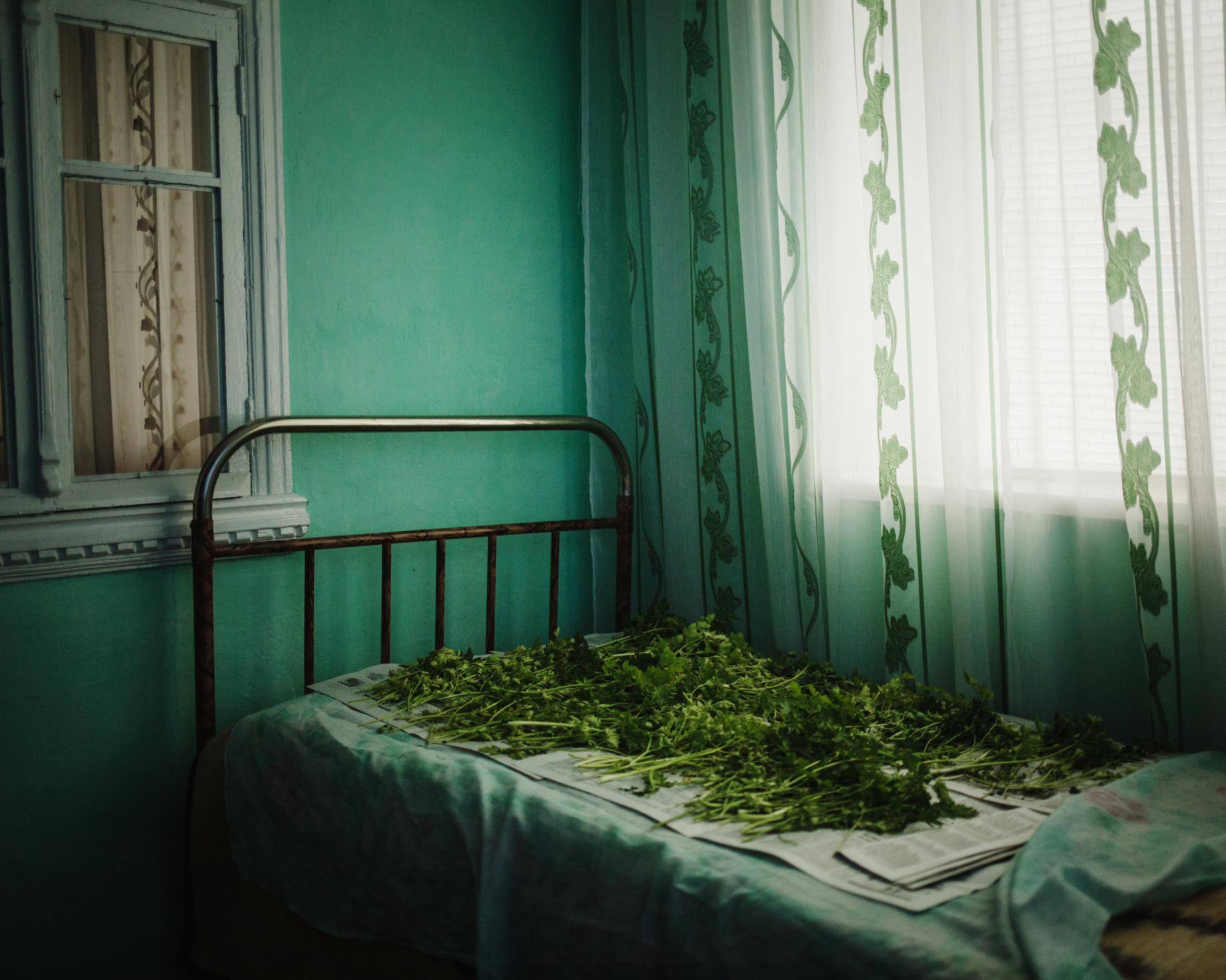  Djoltaï - Some greenery drying in a house. 