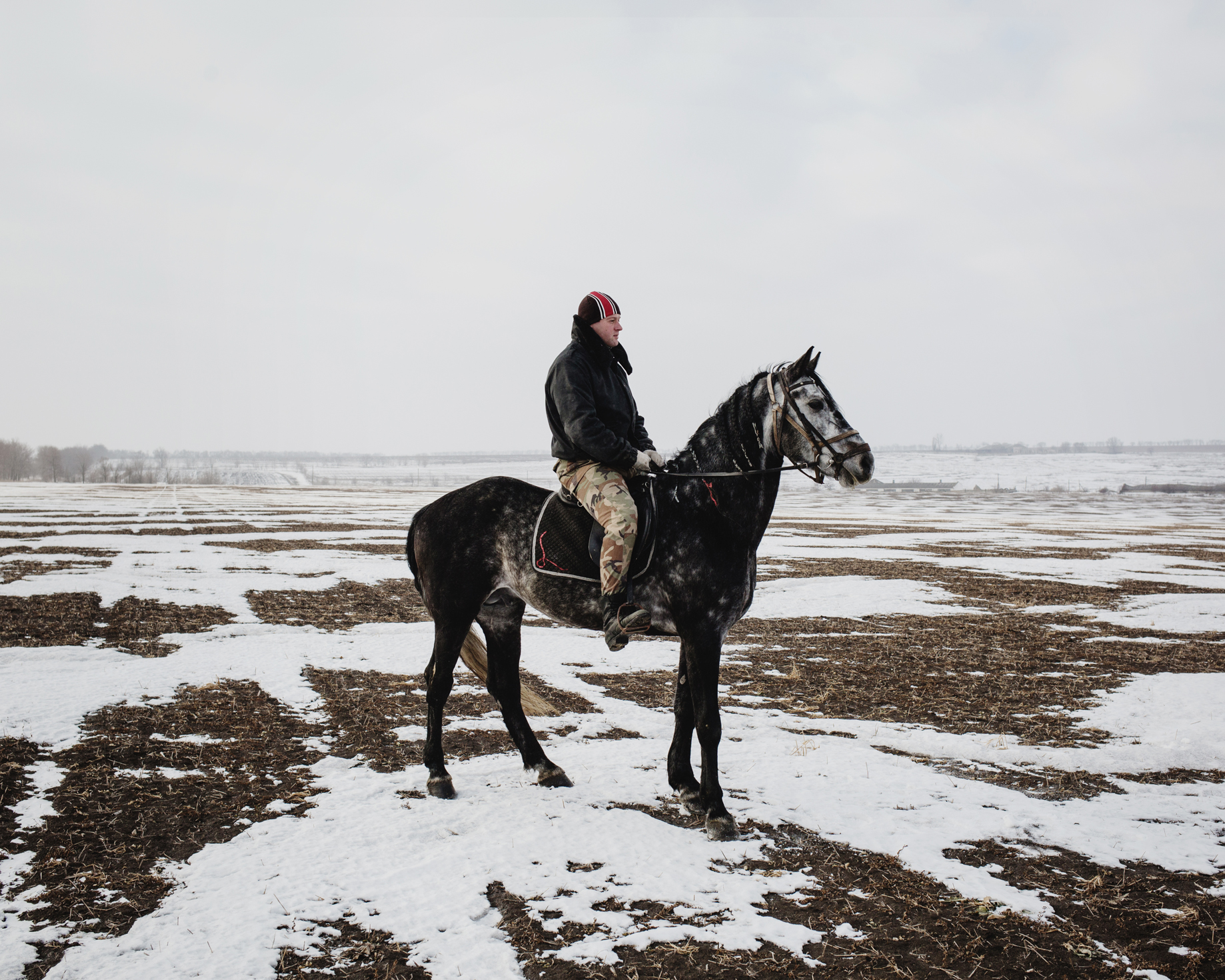  Ceadir-Lunga - In Konstantin Kelesh stud farm, Konstantin’s son trains a horse early in the morning. 