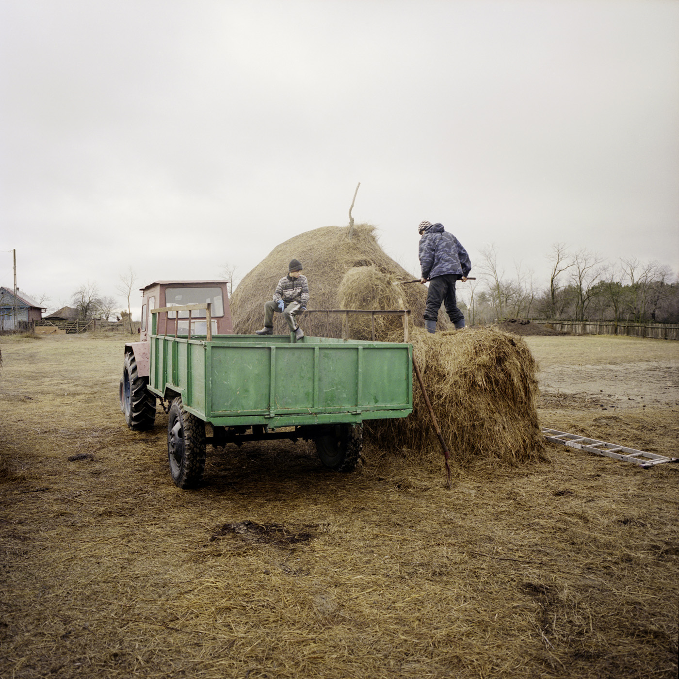  In Rosetti village, young people are loading hay. 