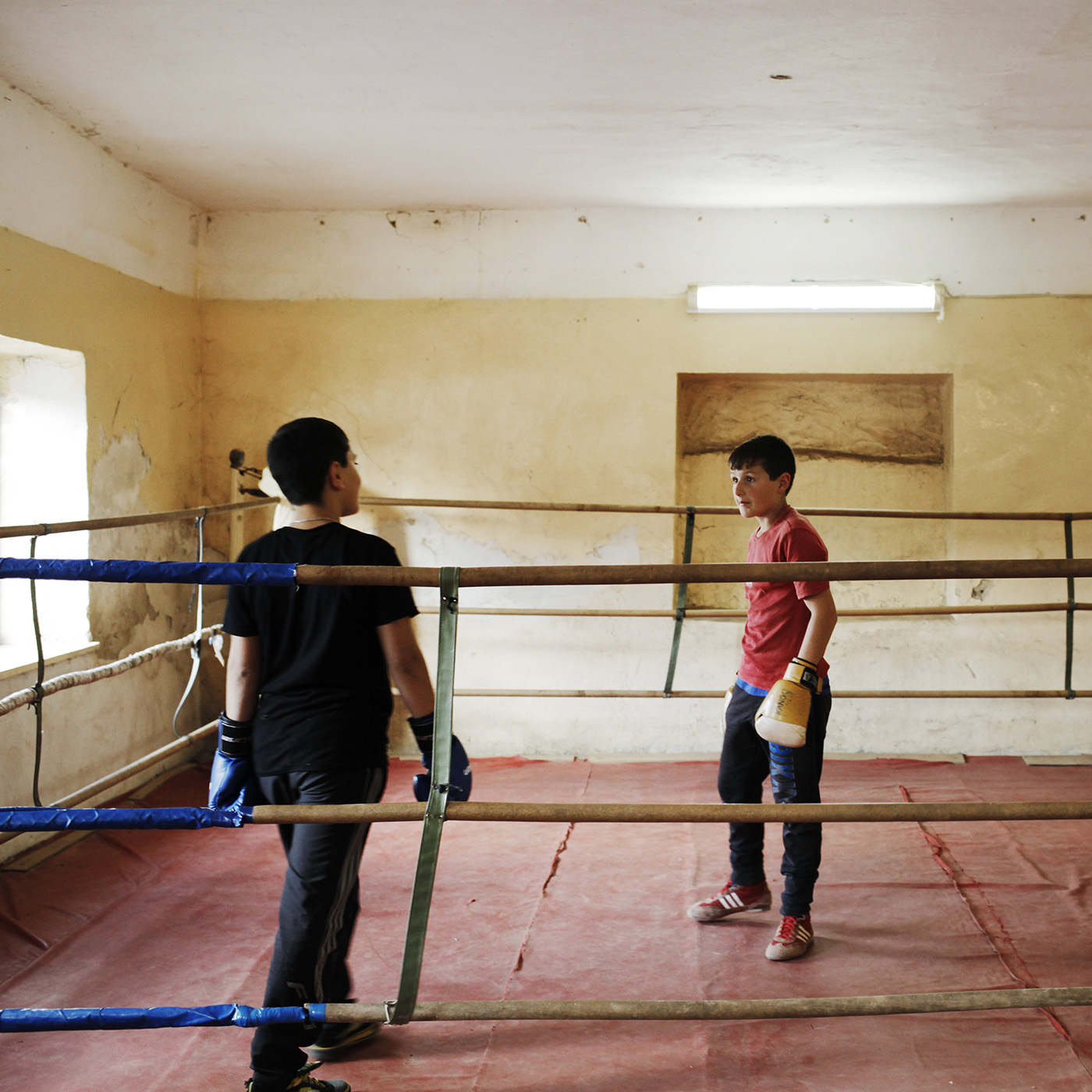 Boxing lessons. A school teacher explains that in the absence of fathers, boys are feminizing and not stick to the image of the Armenian manly. For the children, his workouts are the opportunity to learn boxing and to be "educated". 