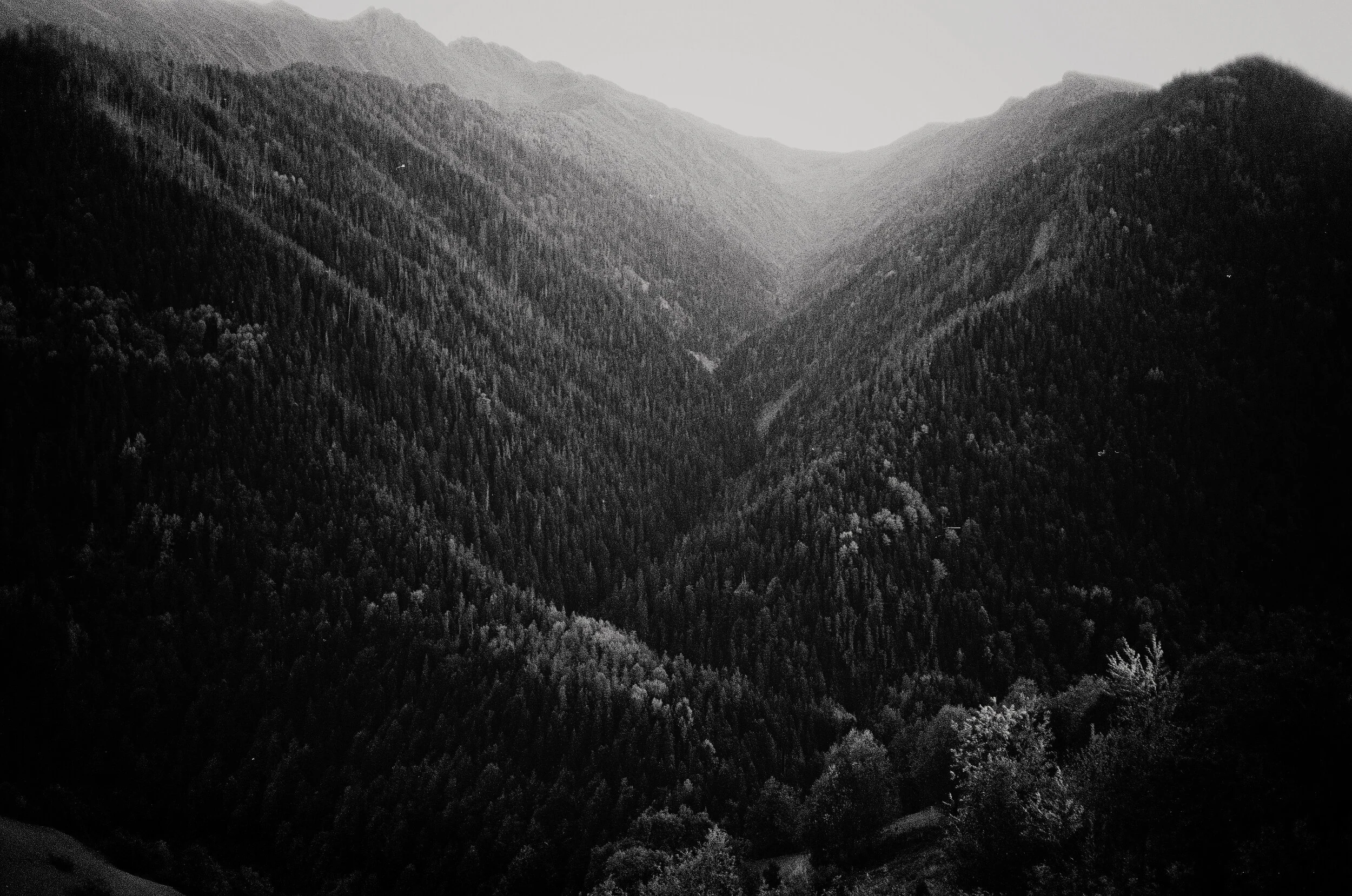 2018_10_film_3_N24 copie.jpg