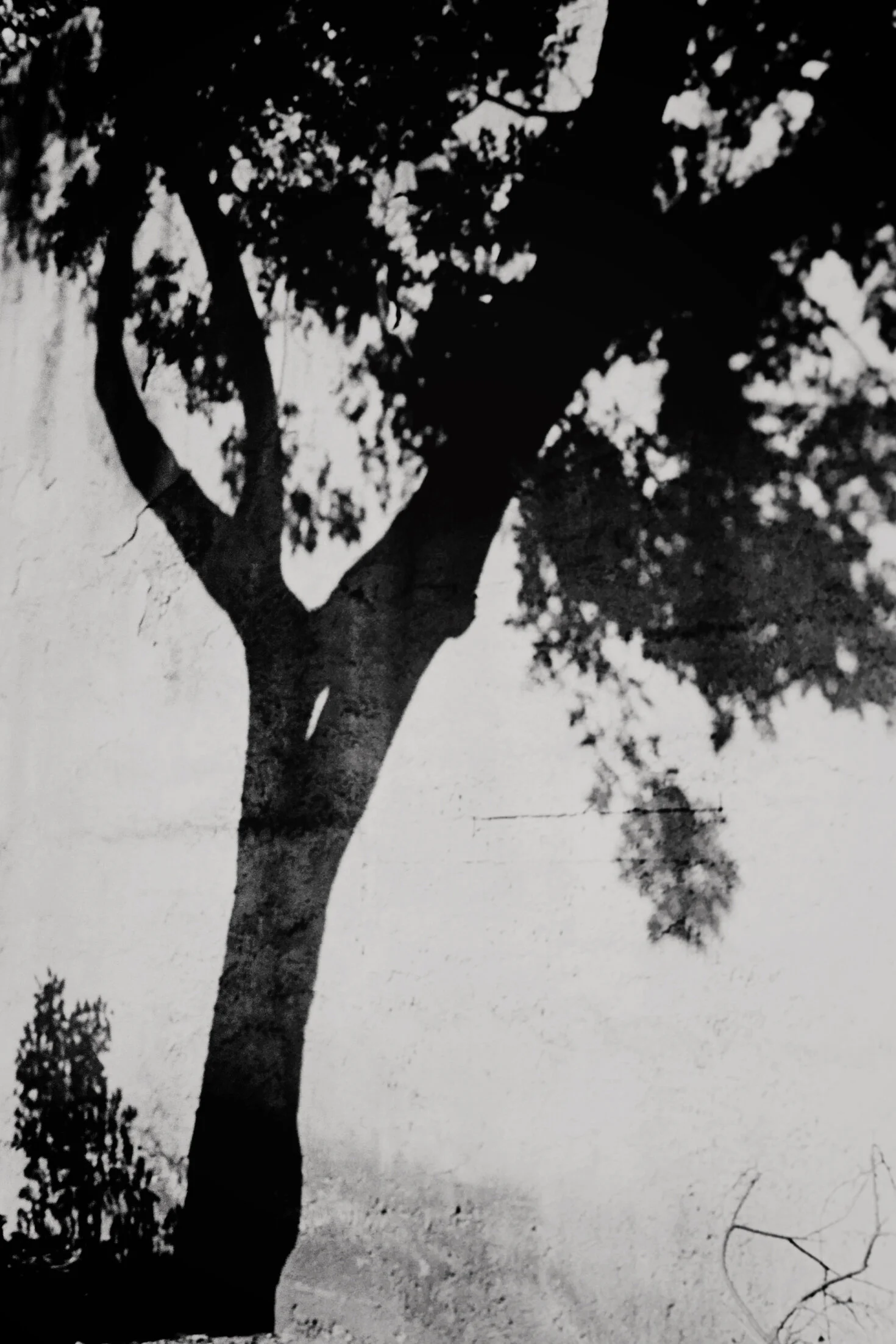 2020_02_film_3_N4 copie.jpg