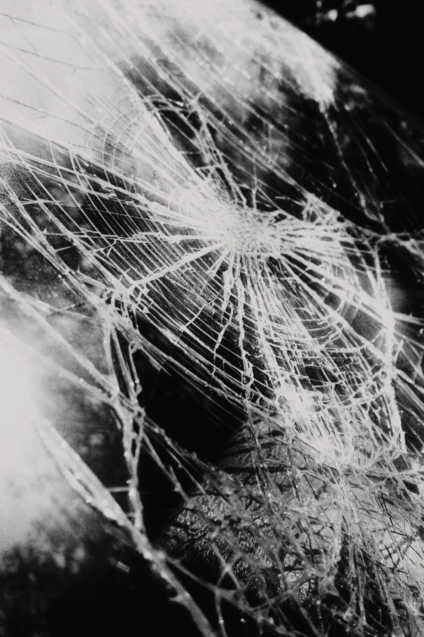 2018_05_film_7_N25 copie.jpg