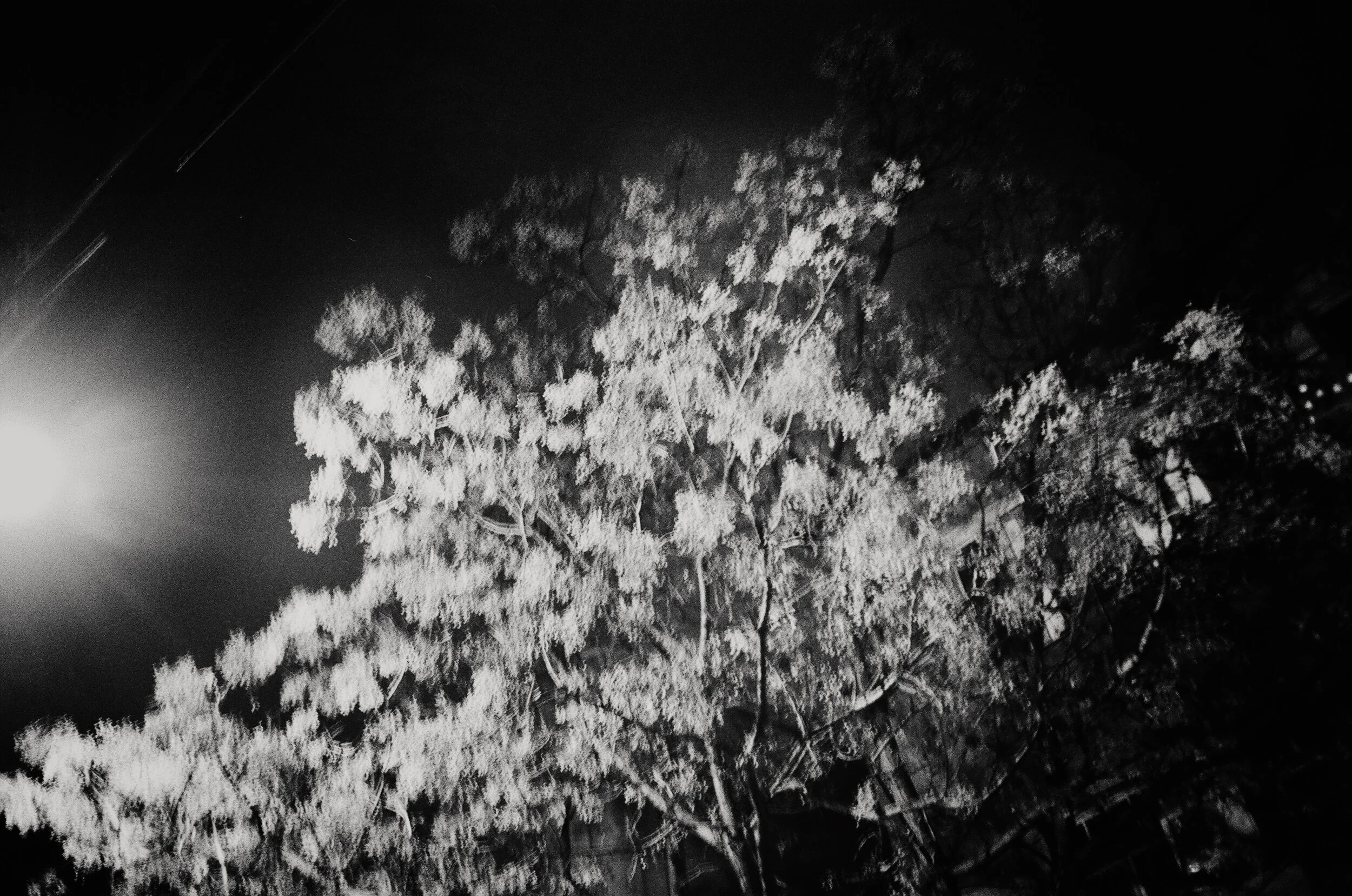 2017_12_film_3_N34 copie.jpg