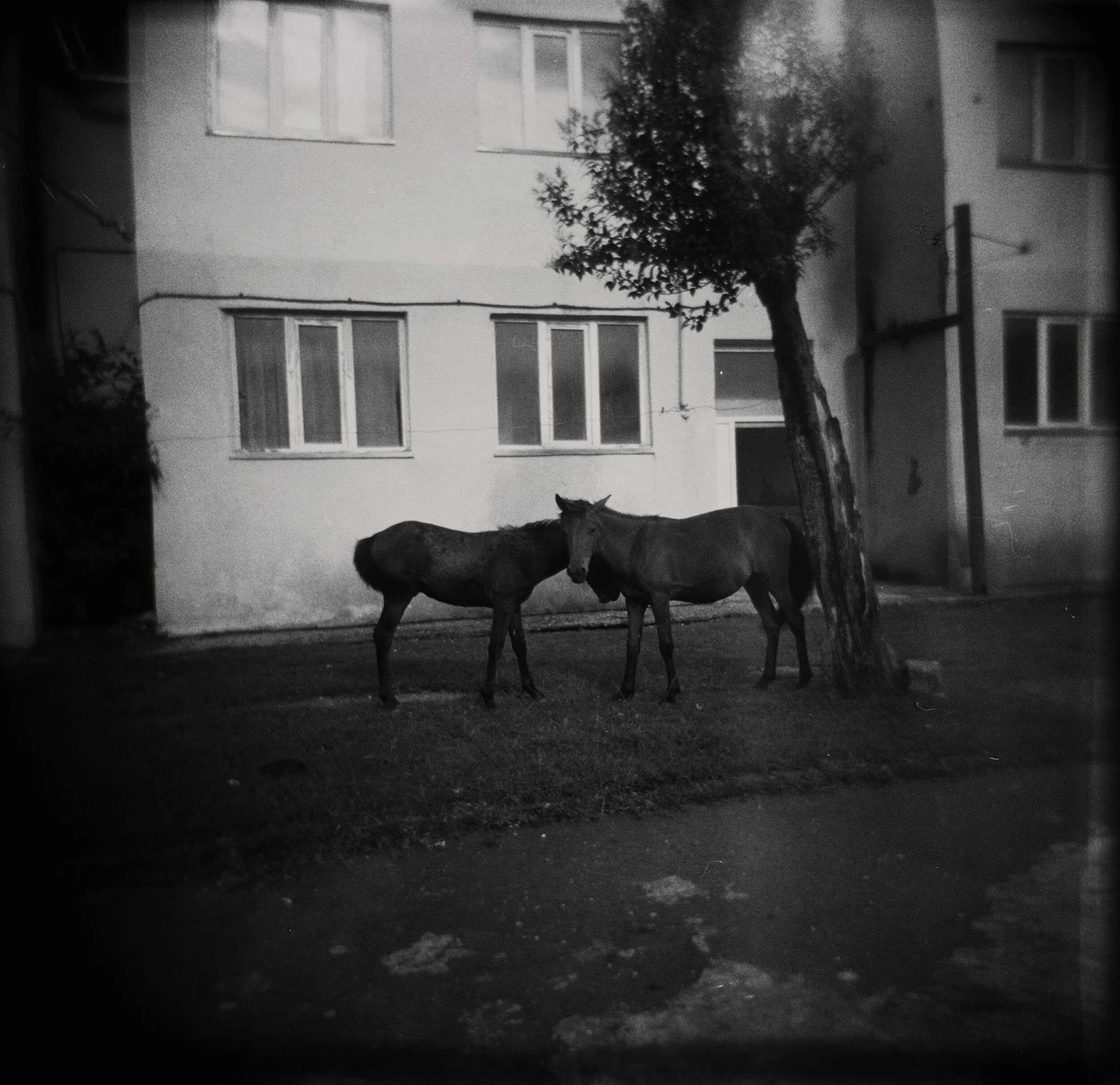 2020_02_film_4_N1 copie.jpg
