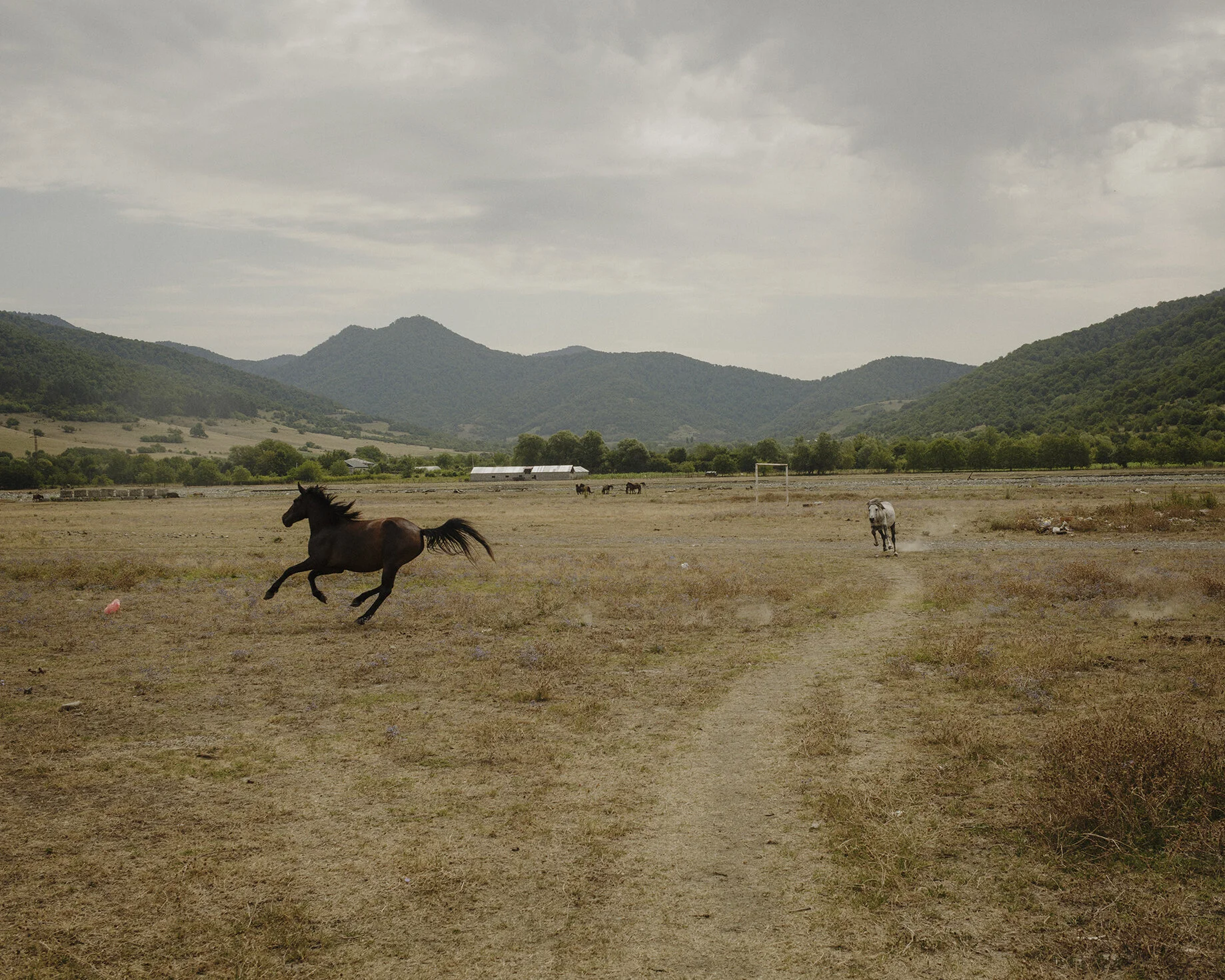 03__C18A1875 copie.jpg