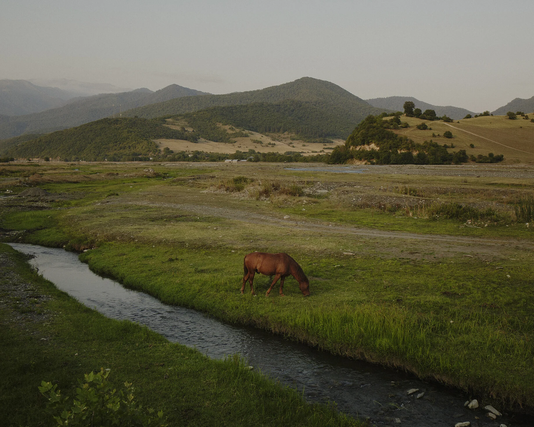 06__C18A1573 copie.jpg