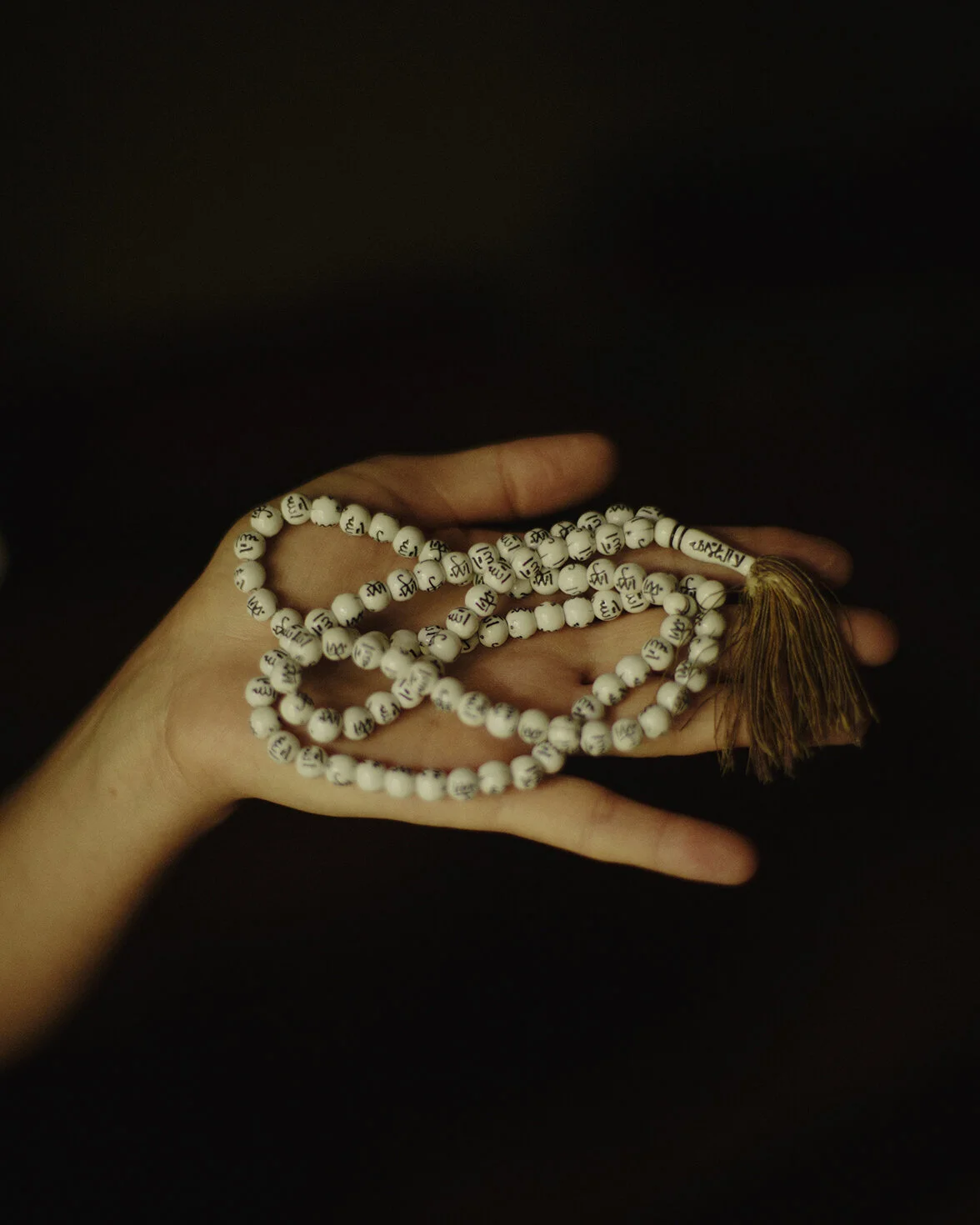 11__C18A2199 copie.jpg