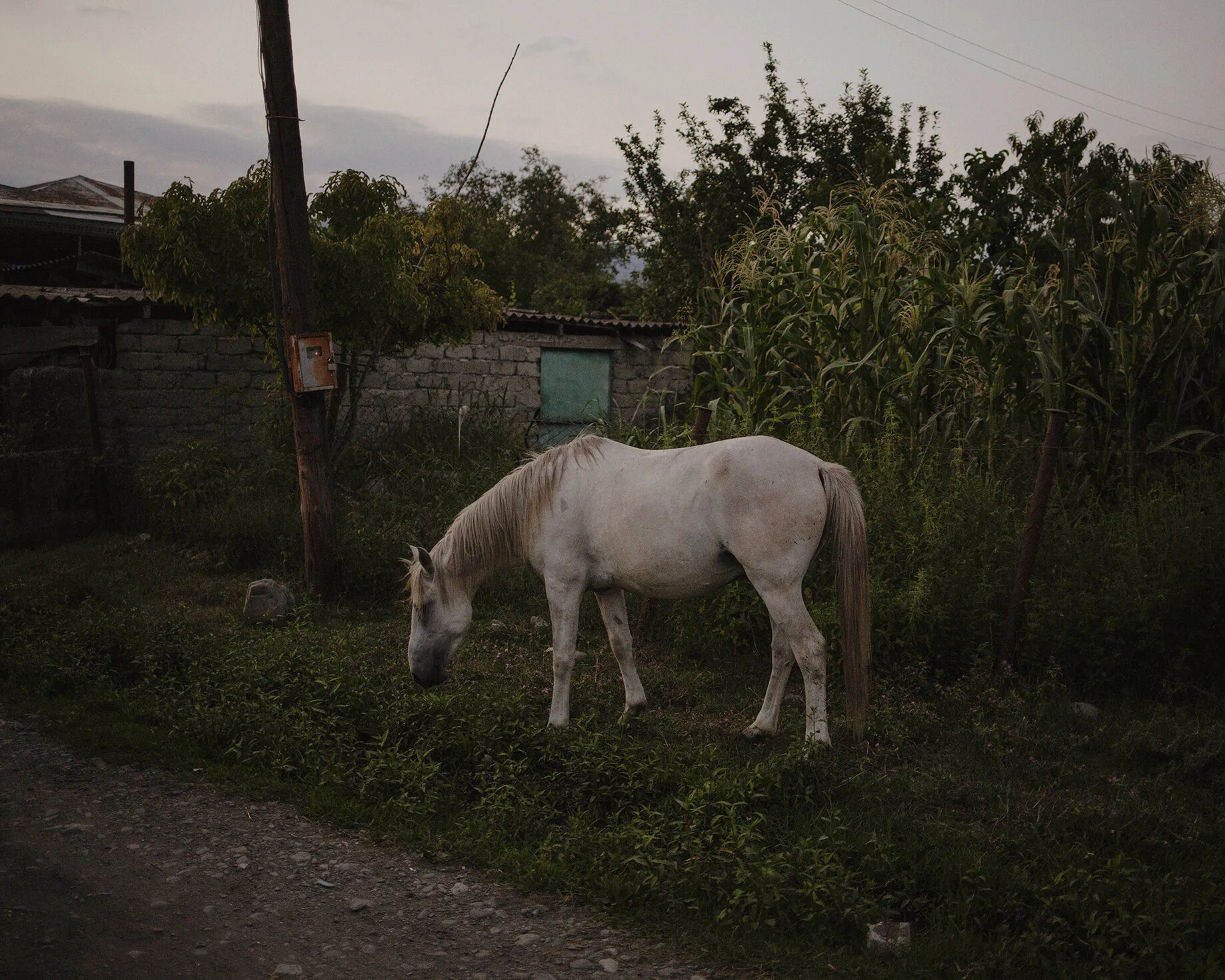 15__C18A1060 copie.jpg