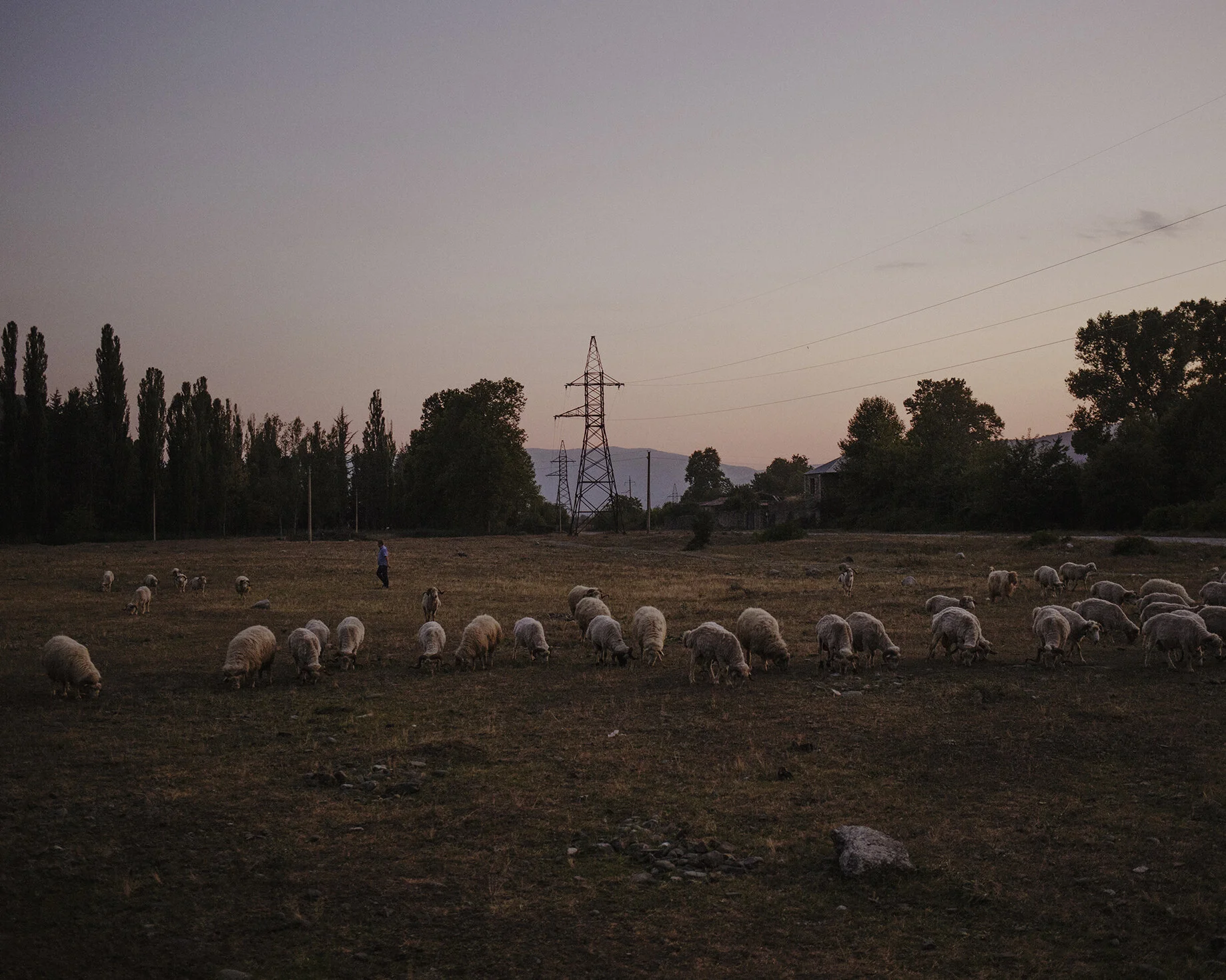 19__C18A0624 copie.jpg