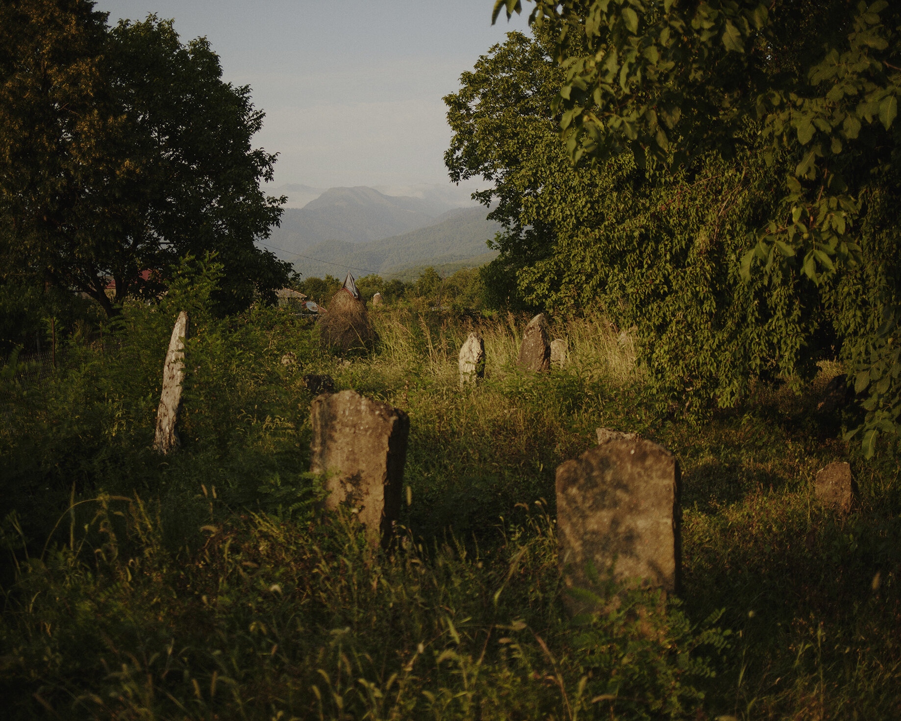 27__C18A1545 copie.jpg