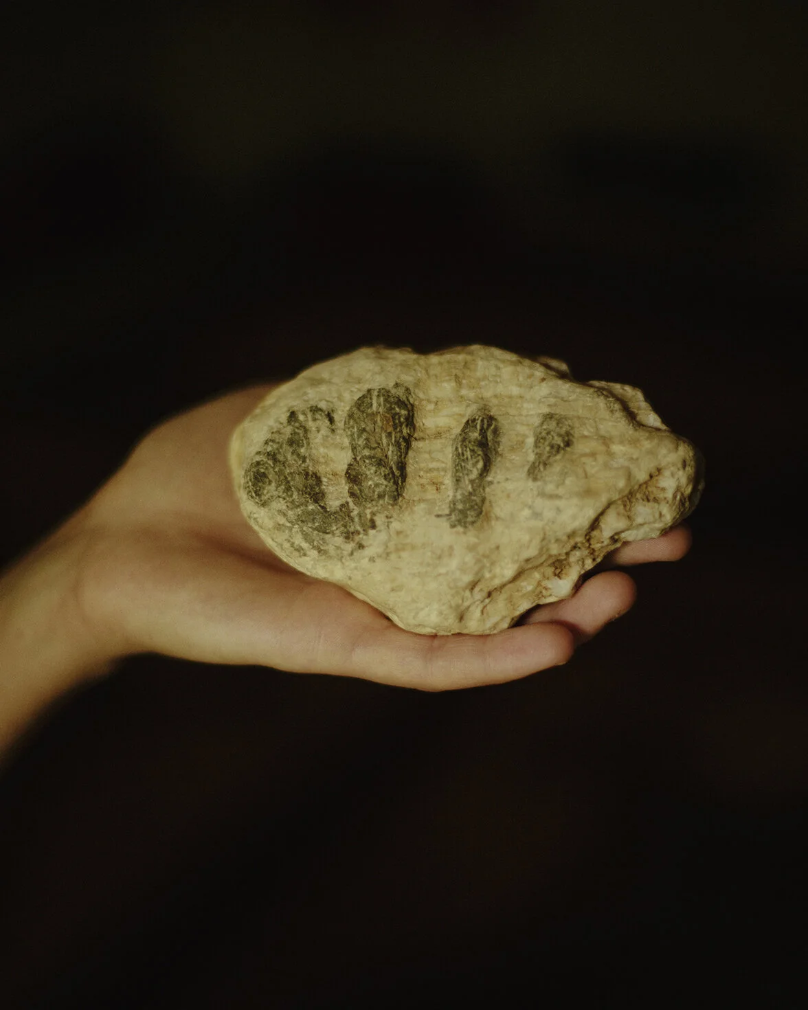 32__C18A2188 copie.jpg