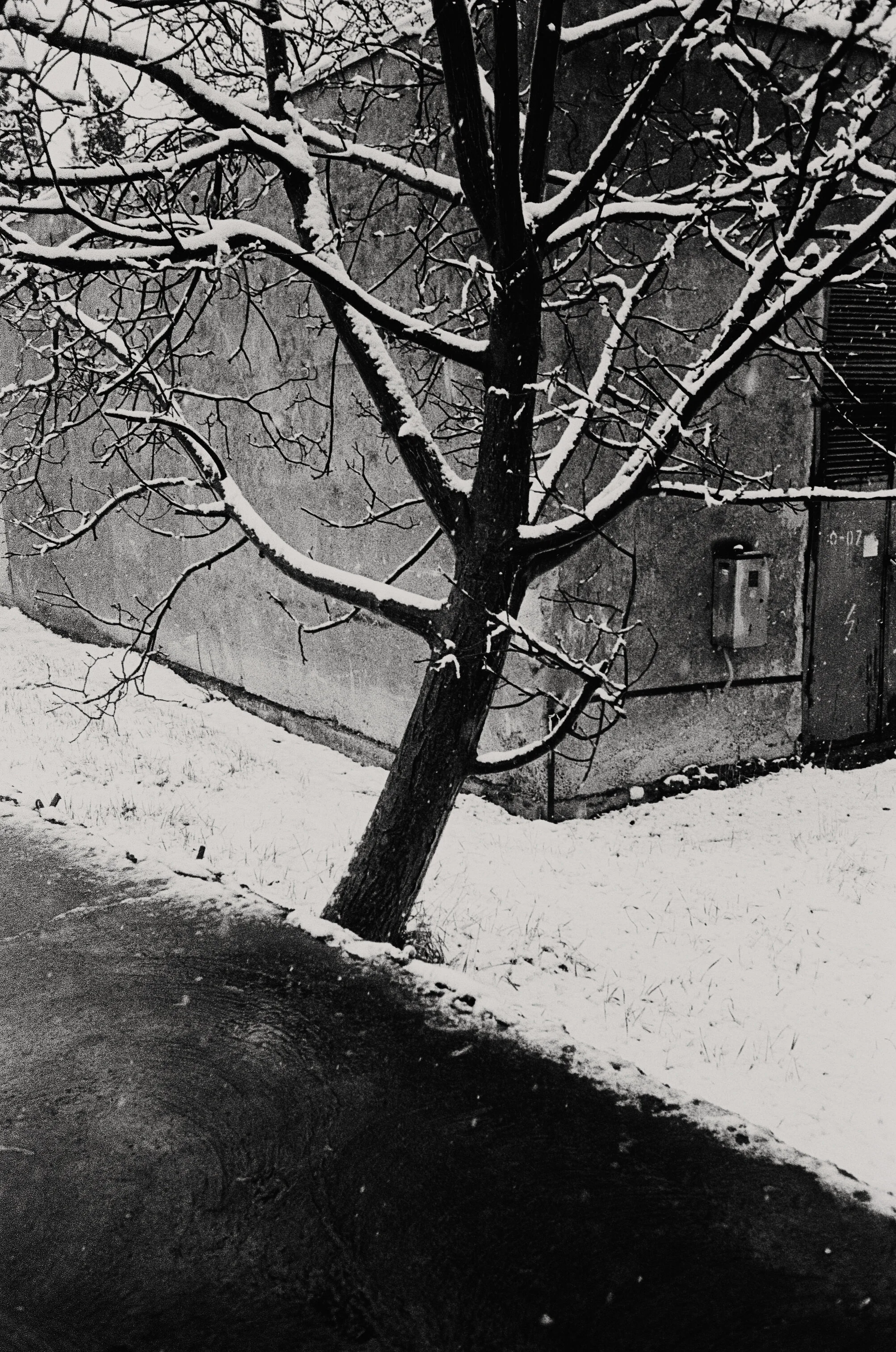 2020_06_film_3_N12.jpg