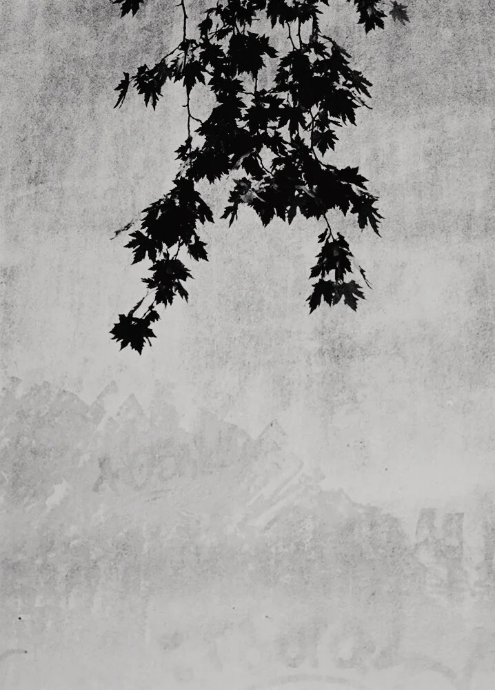 2019_07_film_1_N23 copie.jpg