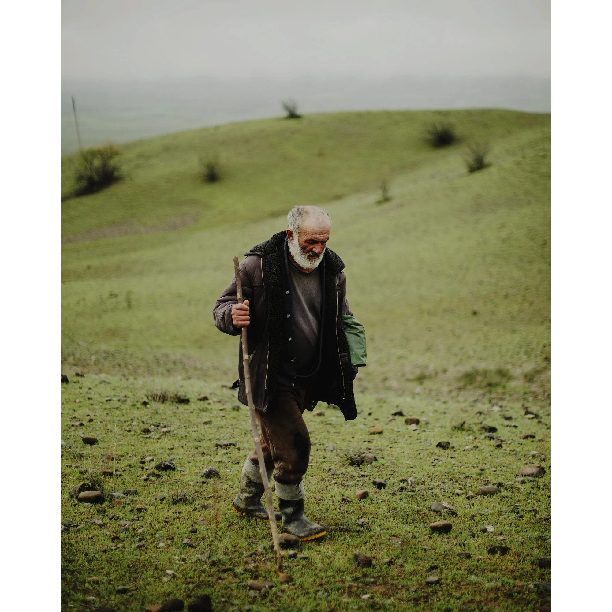 Georgia - Simon, Chachuna