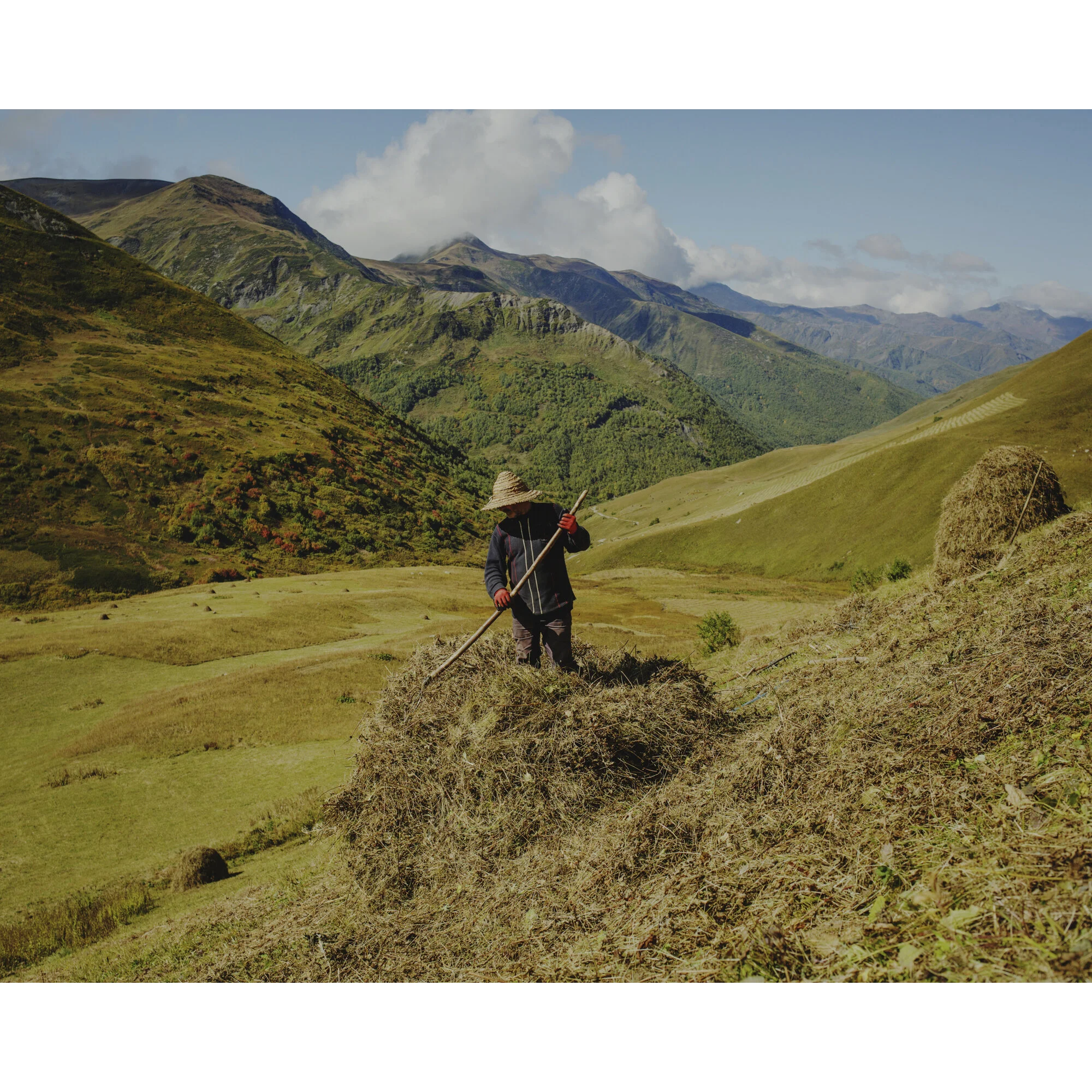 Georgia - Tariel cutting grass in Ushguli