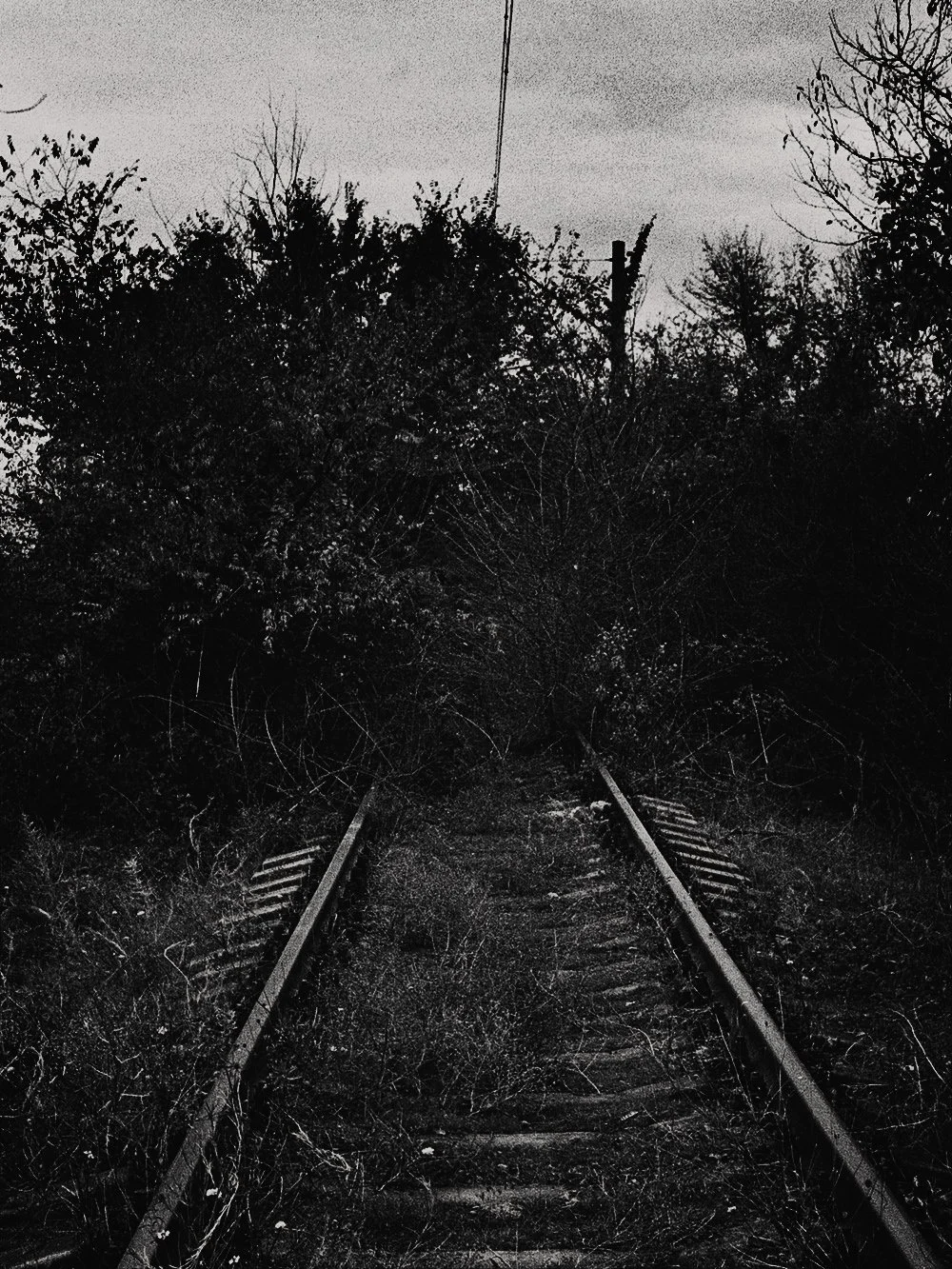 2021_12_film_1_N33 copie.jpg
