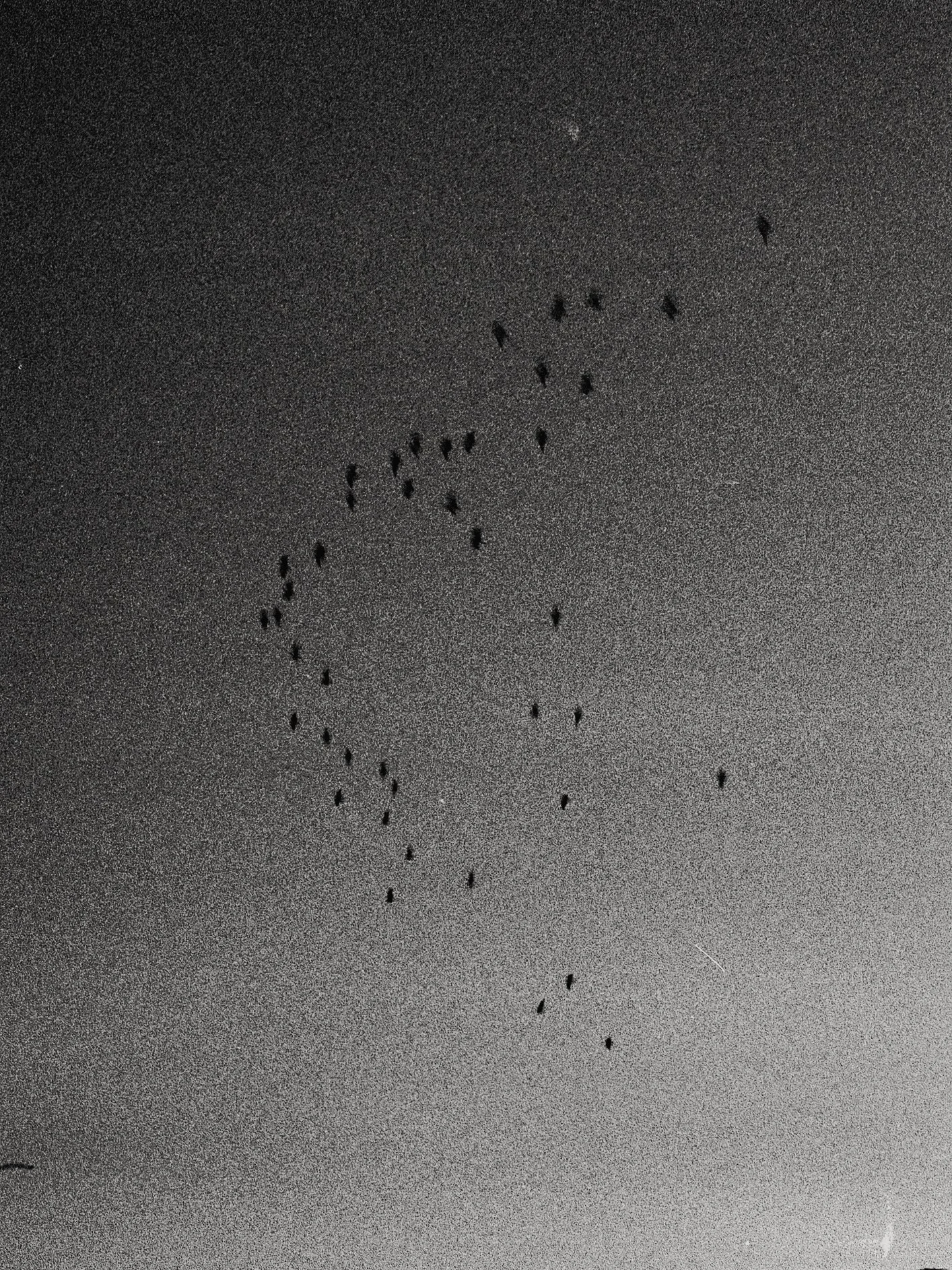 2022_12_film_2_N5 copie.jpg