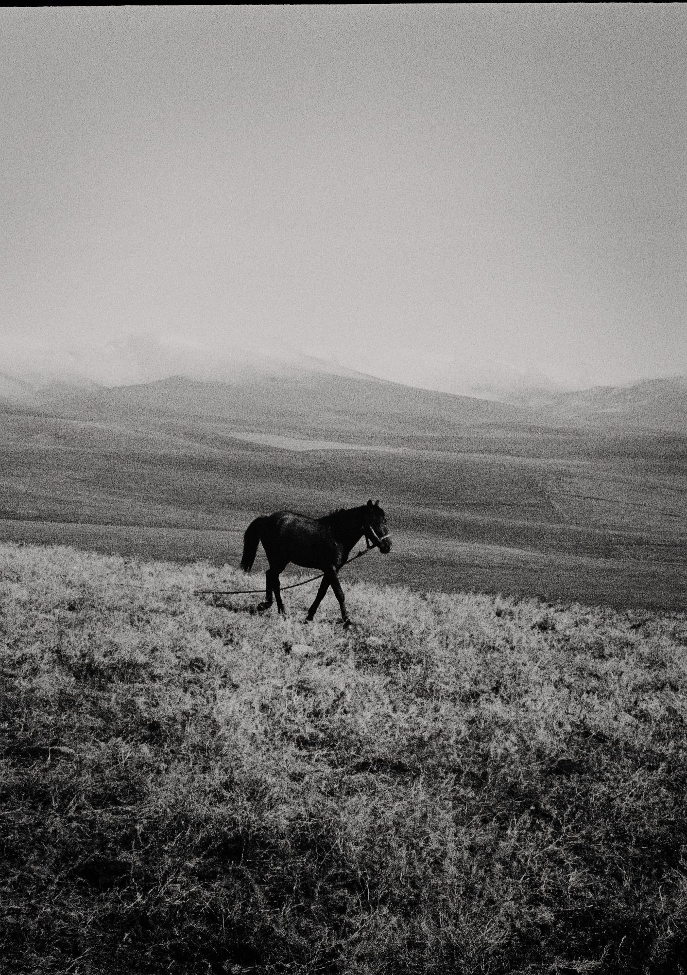 2022_08_film_3_N18 copie.jpg