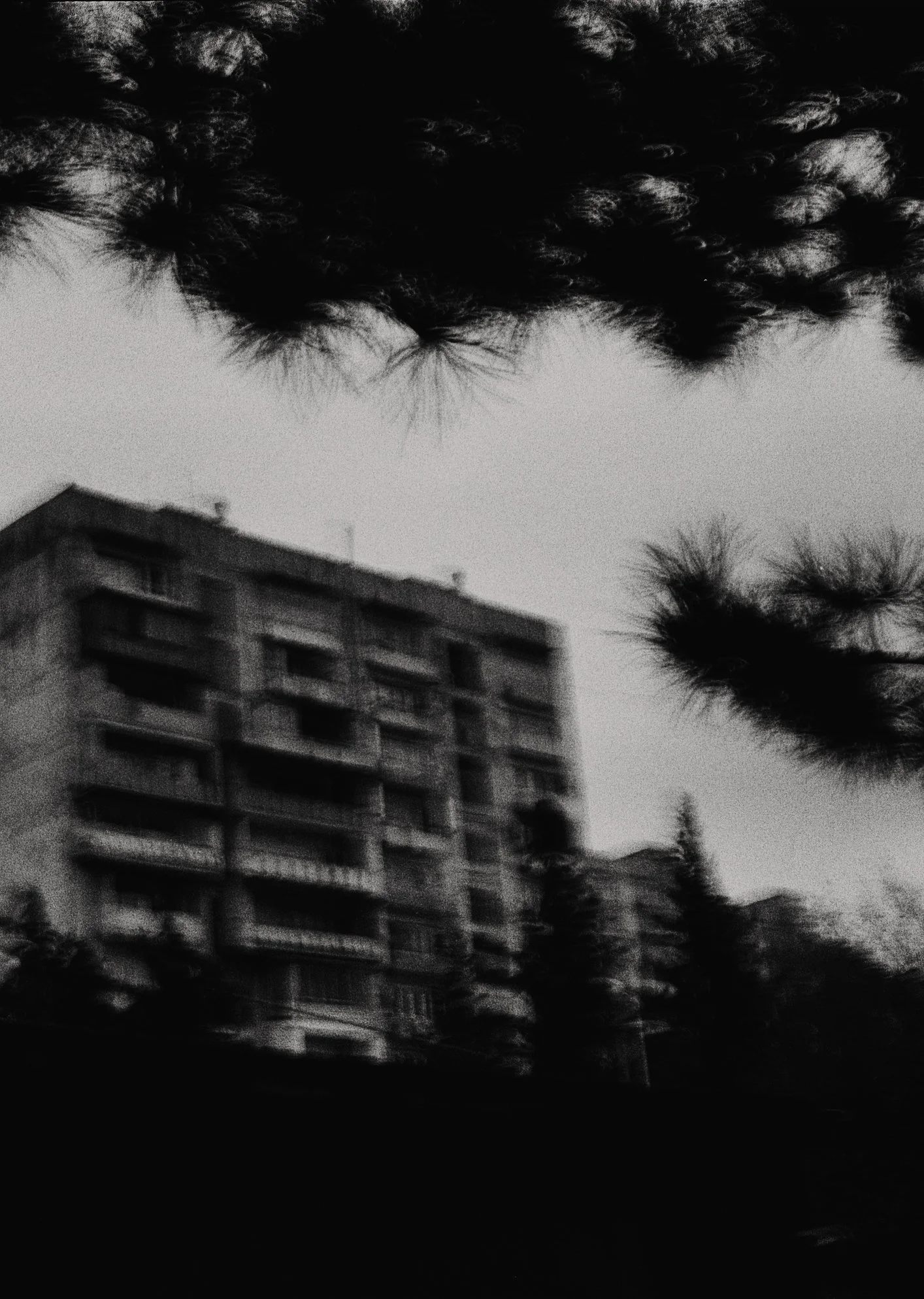 2021_11_film_4_N61 copie.jpg