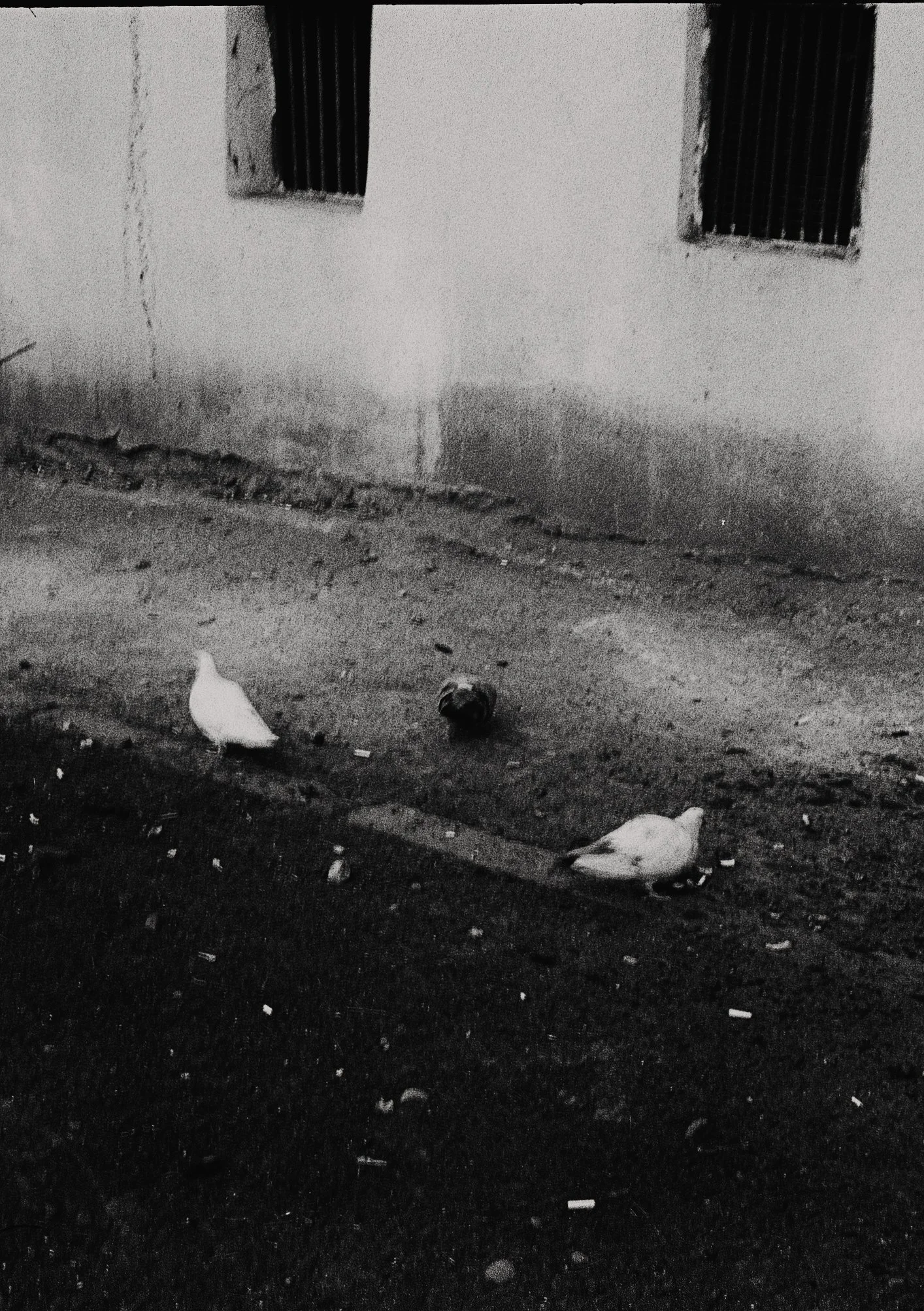 2022_02_film_2_N55 copie.jpg