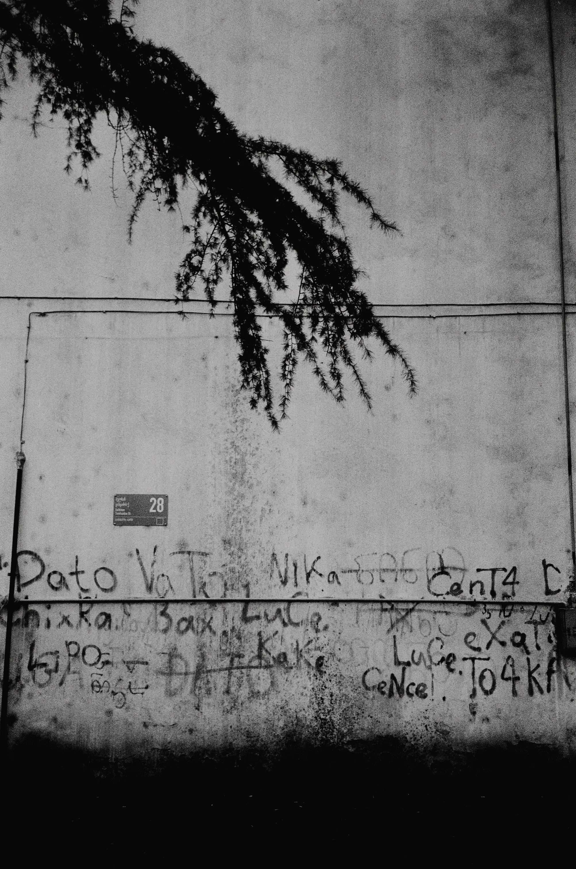 2021_11_film_3_N37 copie.jpg