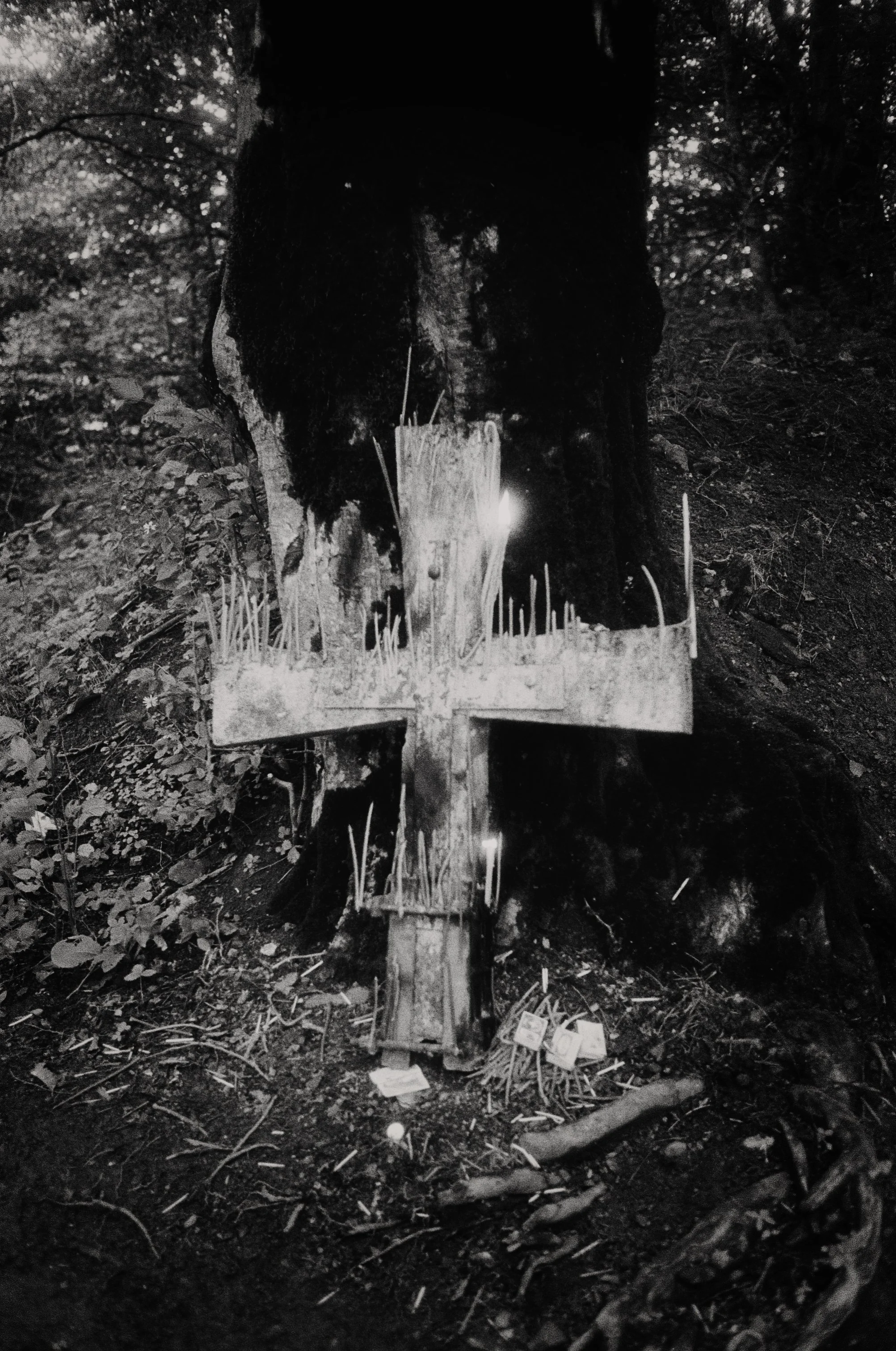 2021_11_film_3_N29 copie.jpg