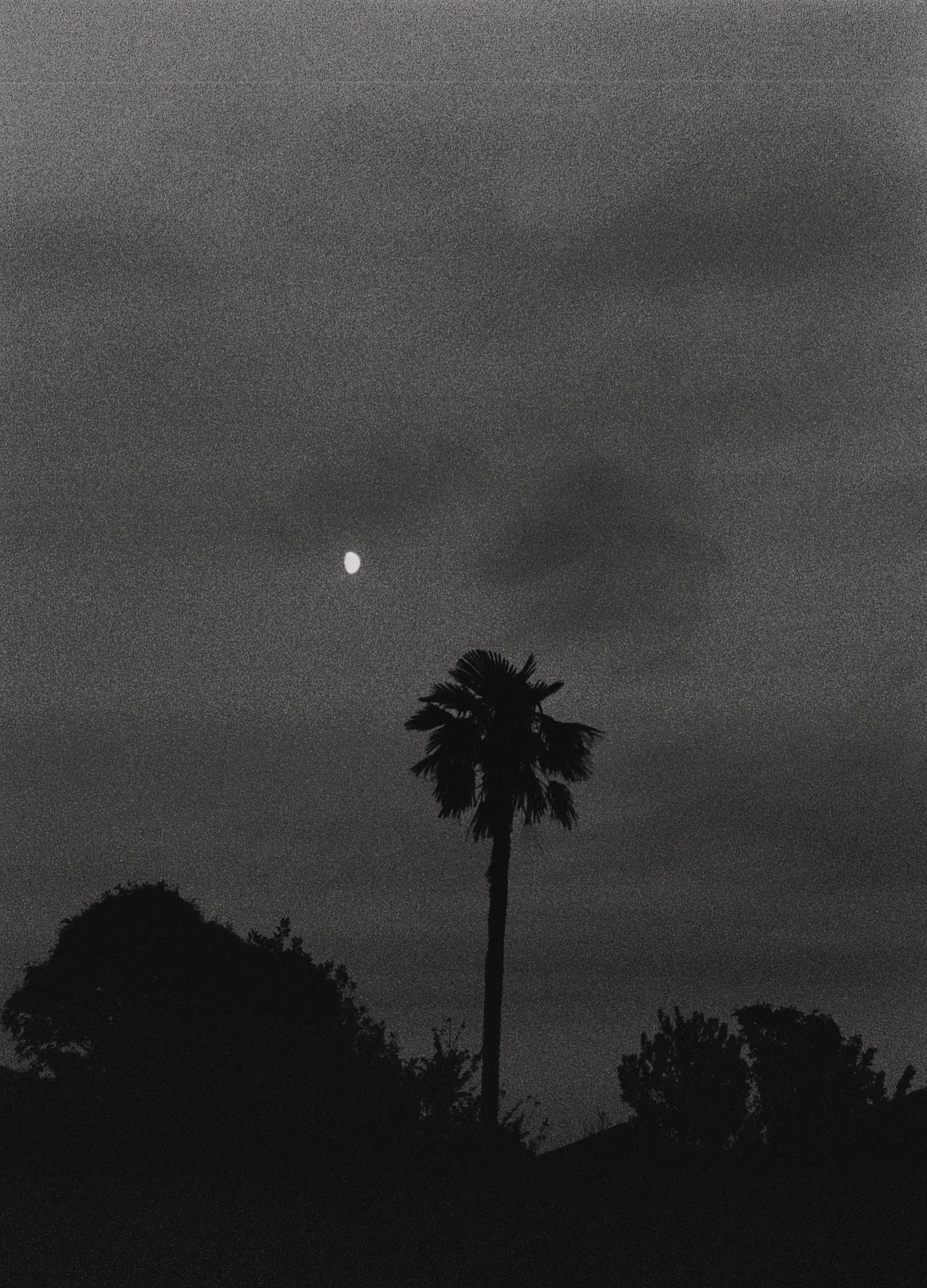 2021_11_film_4_N38 copie.jpg