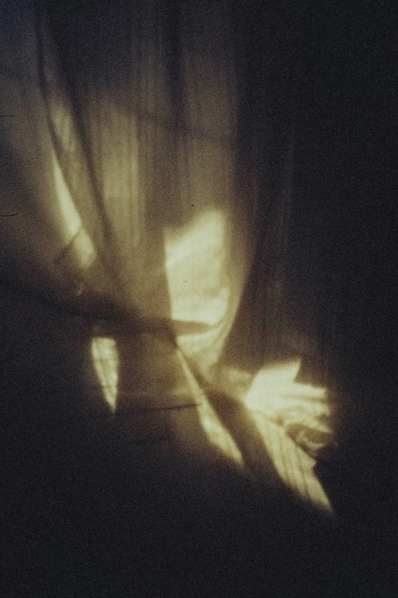 chronicle2_10_C18A3589 copie.jpg