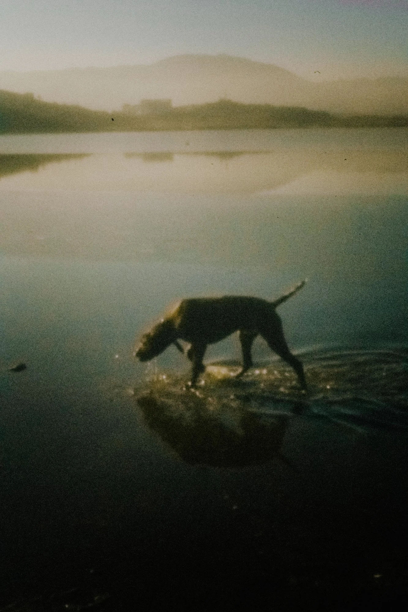 chronicle2_19_DSC01546 copie.jpg