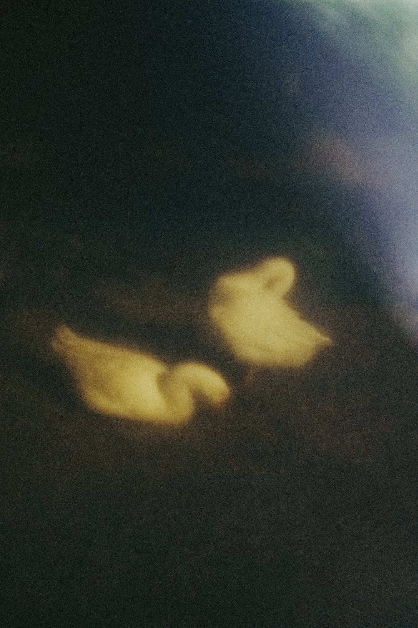 chronicle2_21_DSC04577 copie.jpg