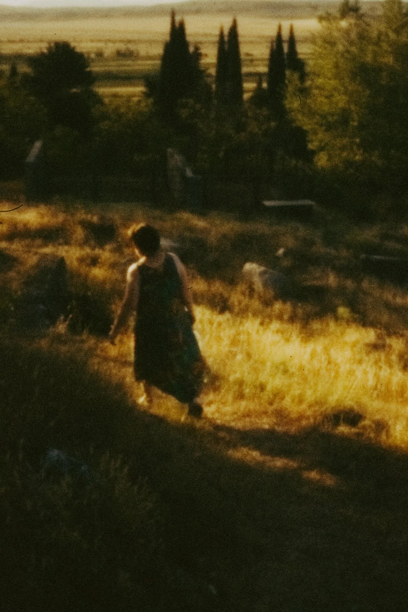 chronicle2_28_C18A5558 copie.jpg