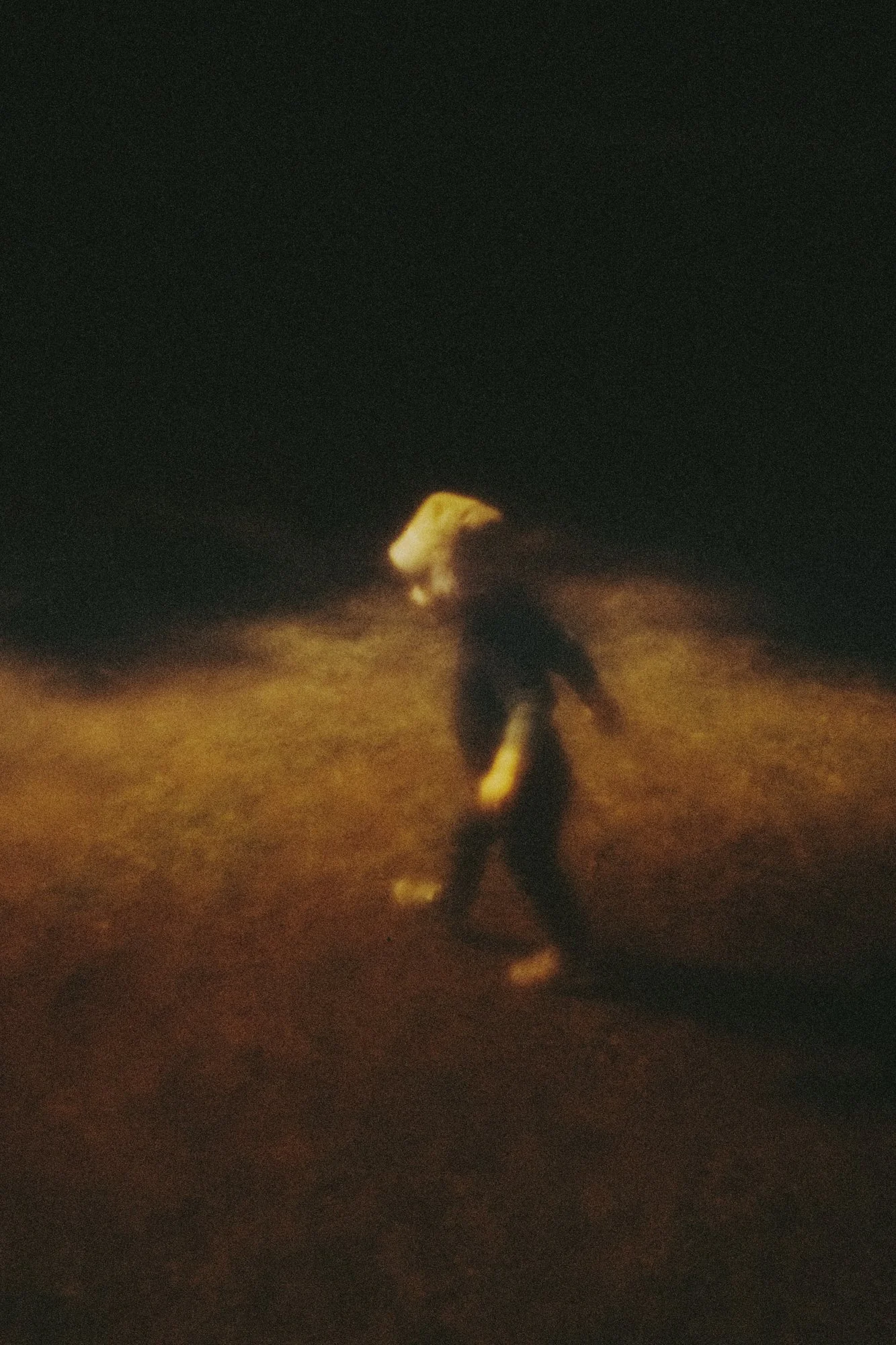 chronicle2_29_DSC04497 copie.jpg