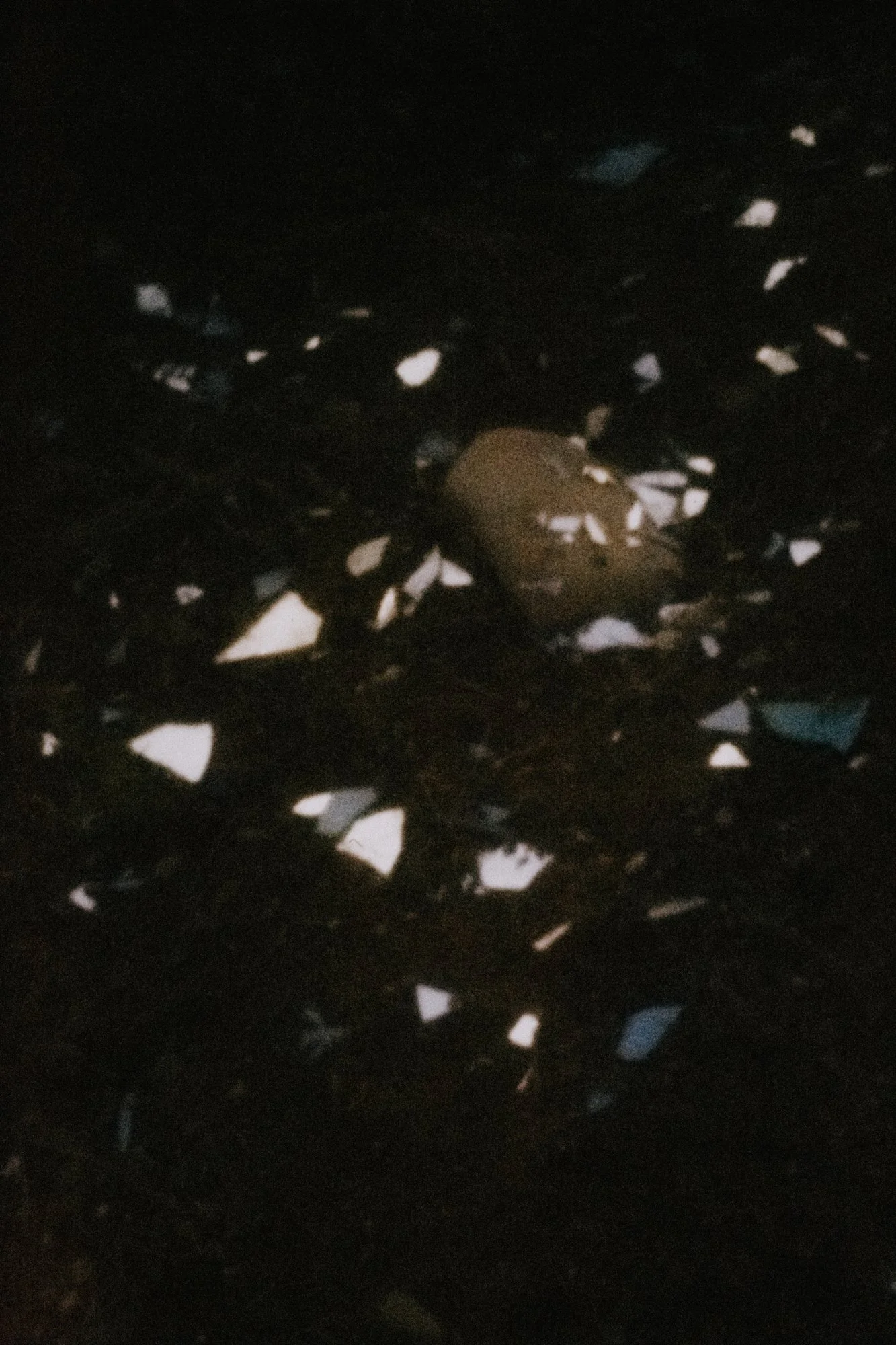 chronicle2_35_C18A8901 copie.jpg