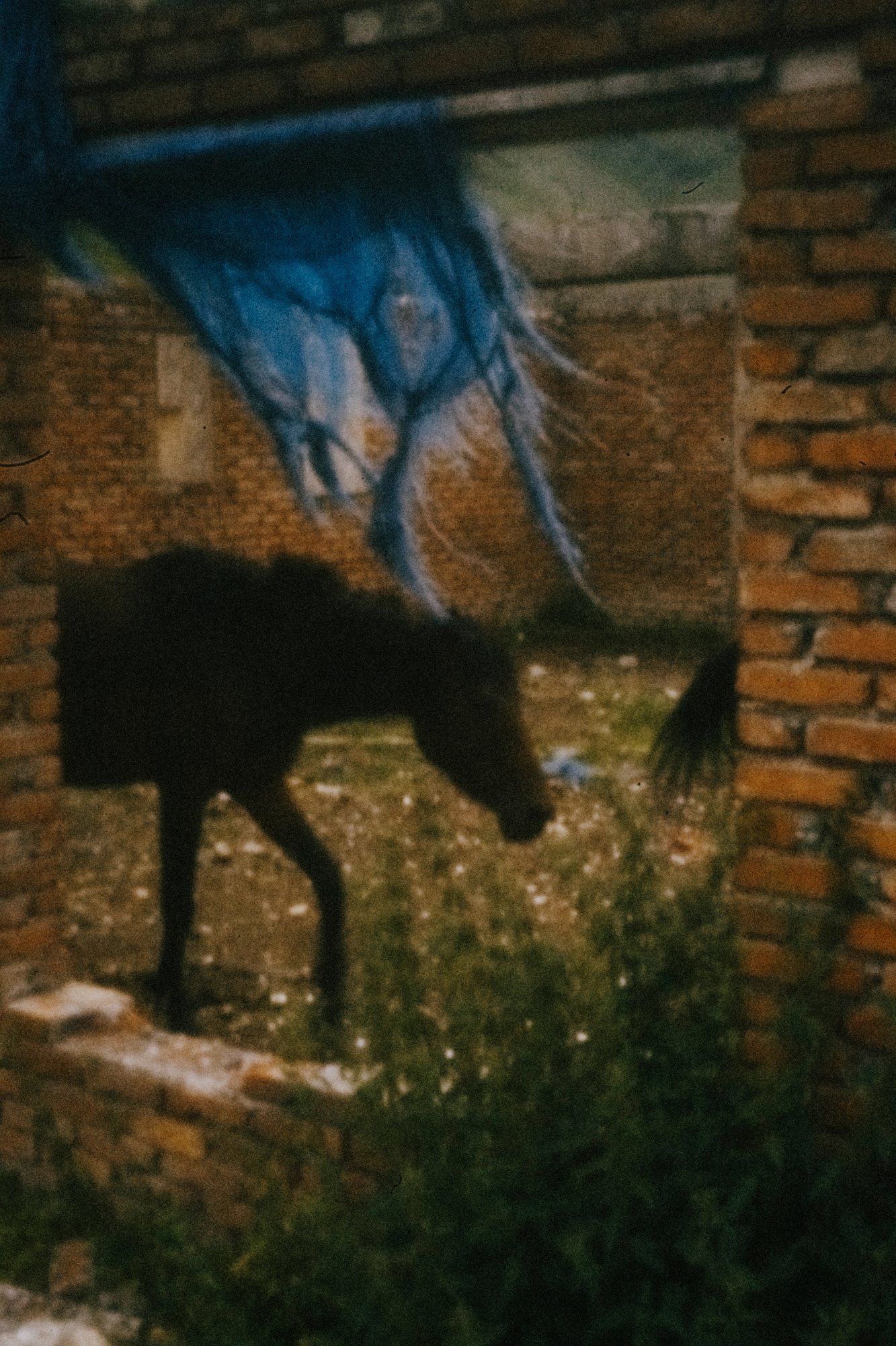 chronicle2_39_C18A5818 copie.jpg