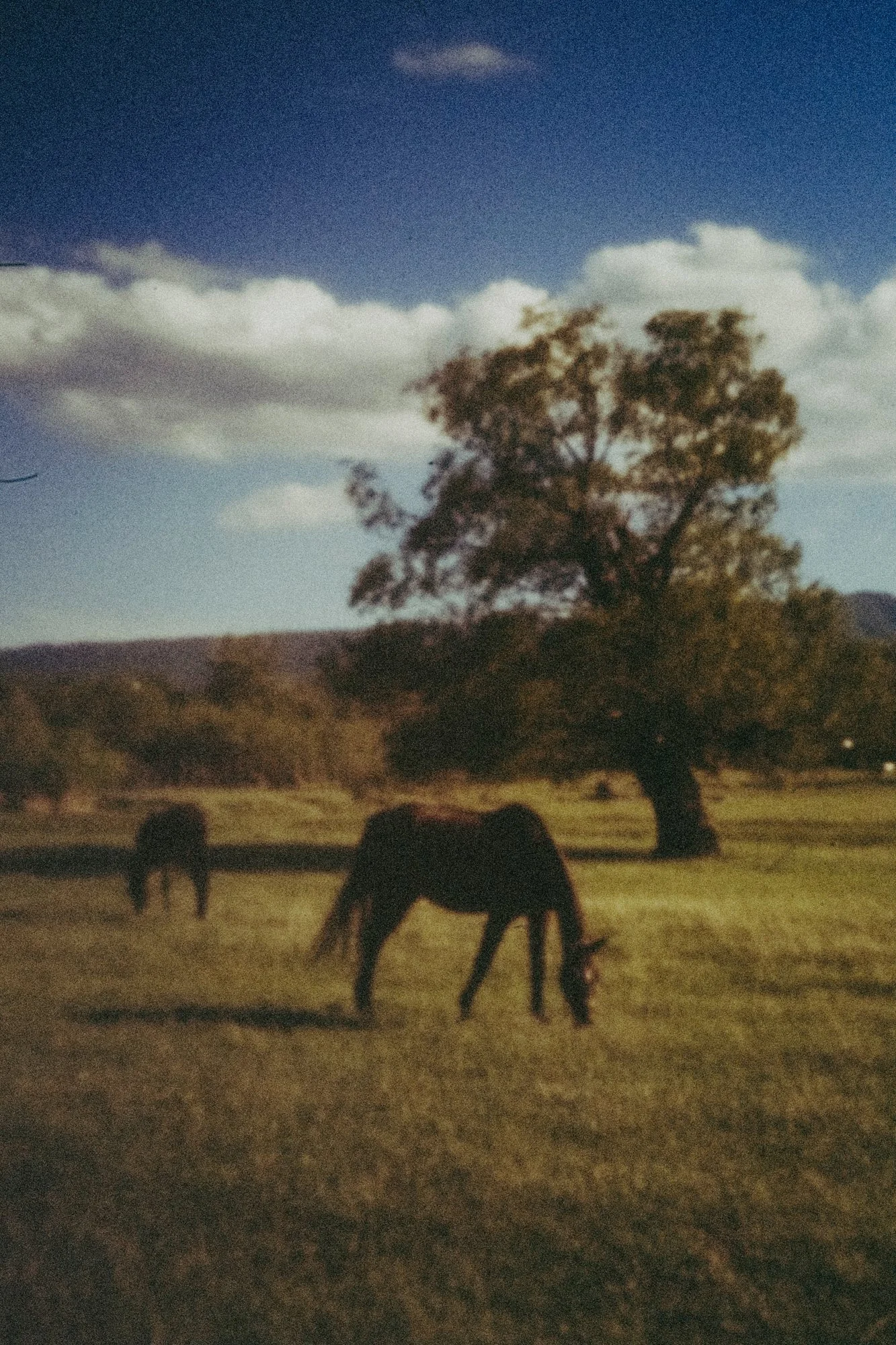 chronicle2_41_C18A3960 copie.jpg