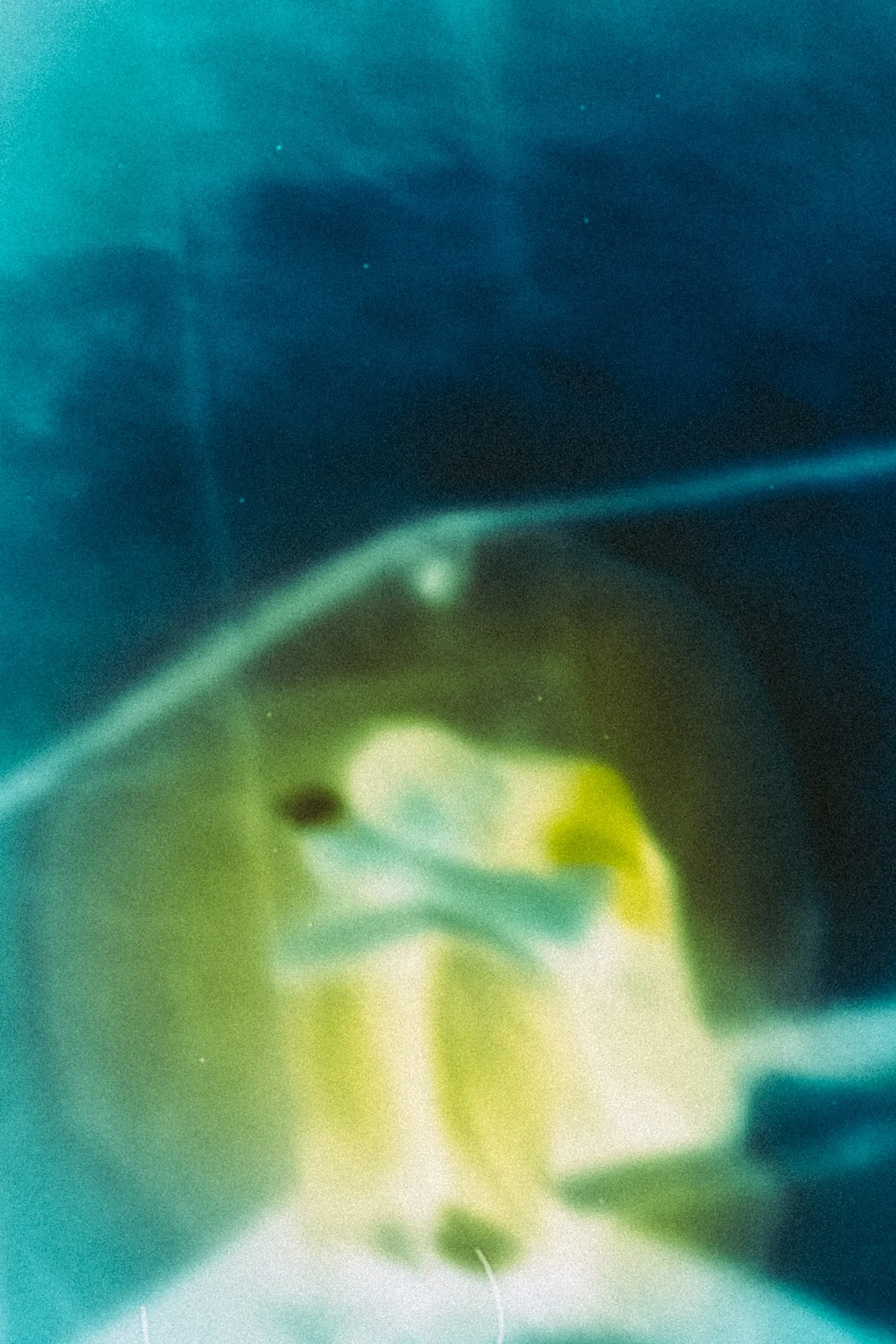 C18A0543.jpg