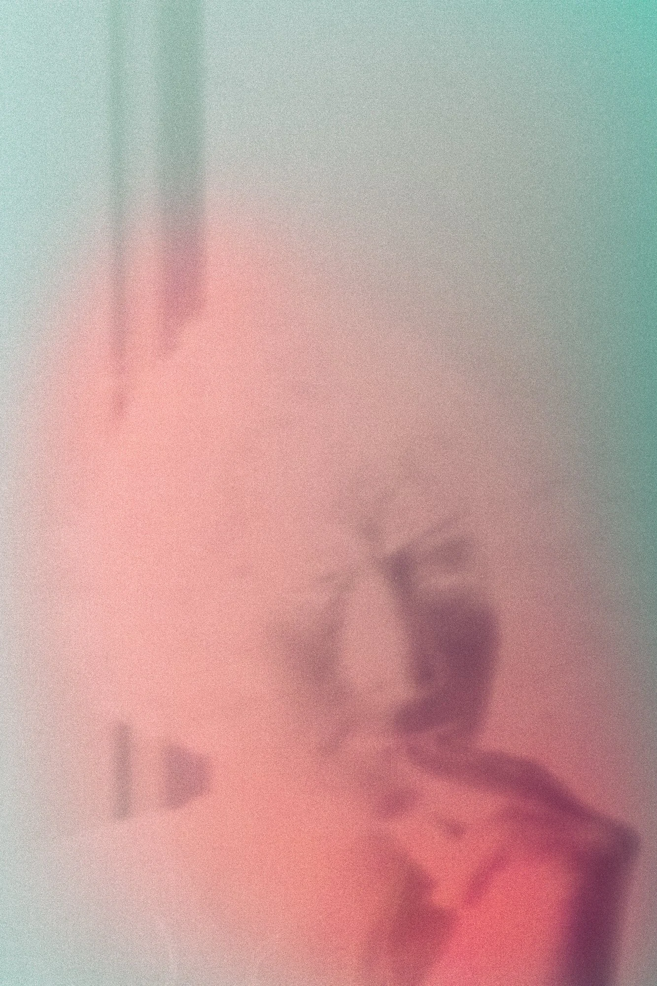 C18A5365.jpg