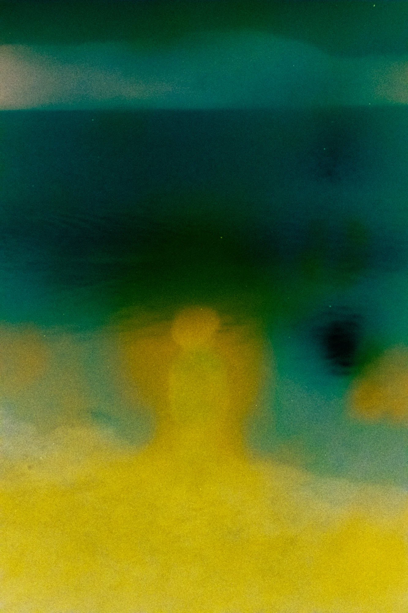 DSC05168.jpg