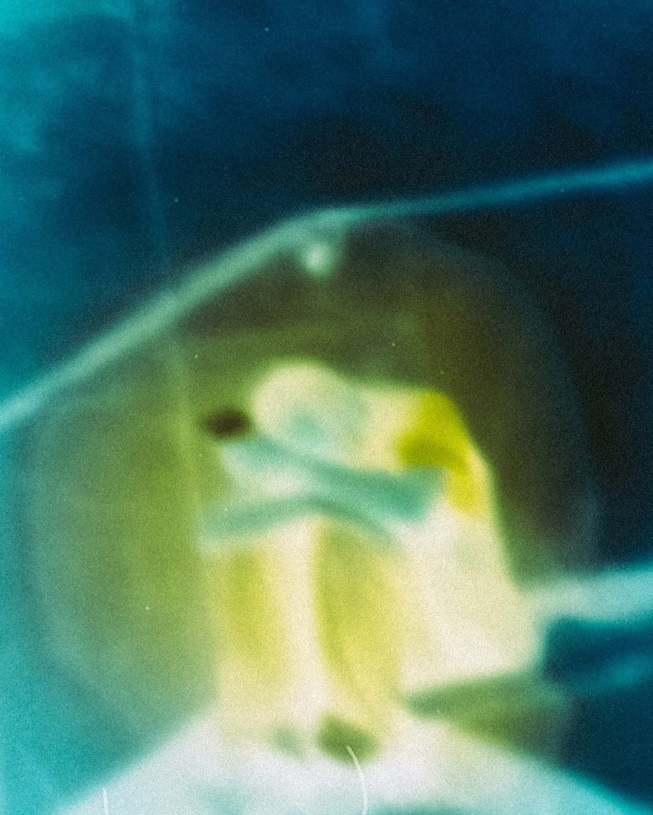 C18A0543.jpg