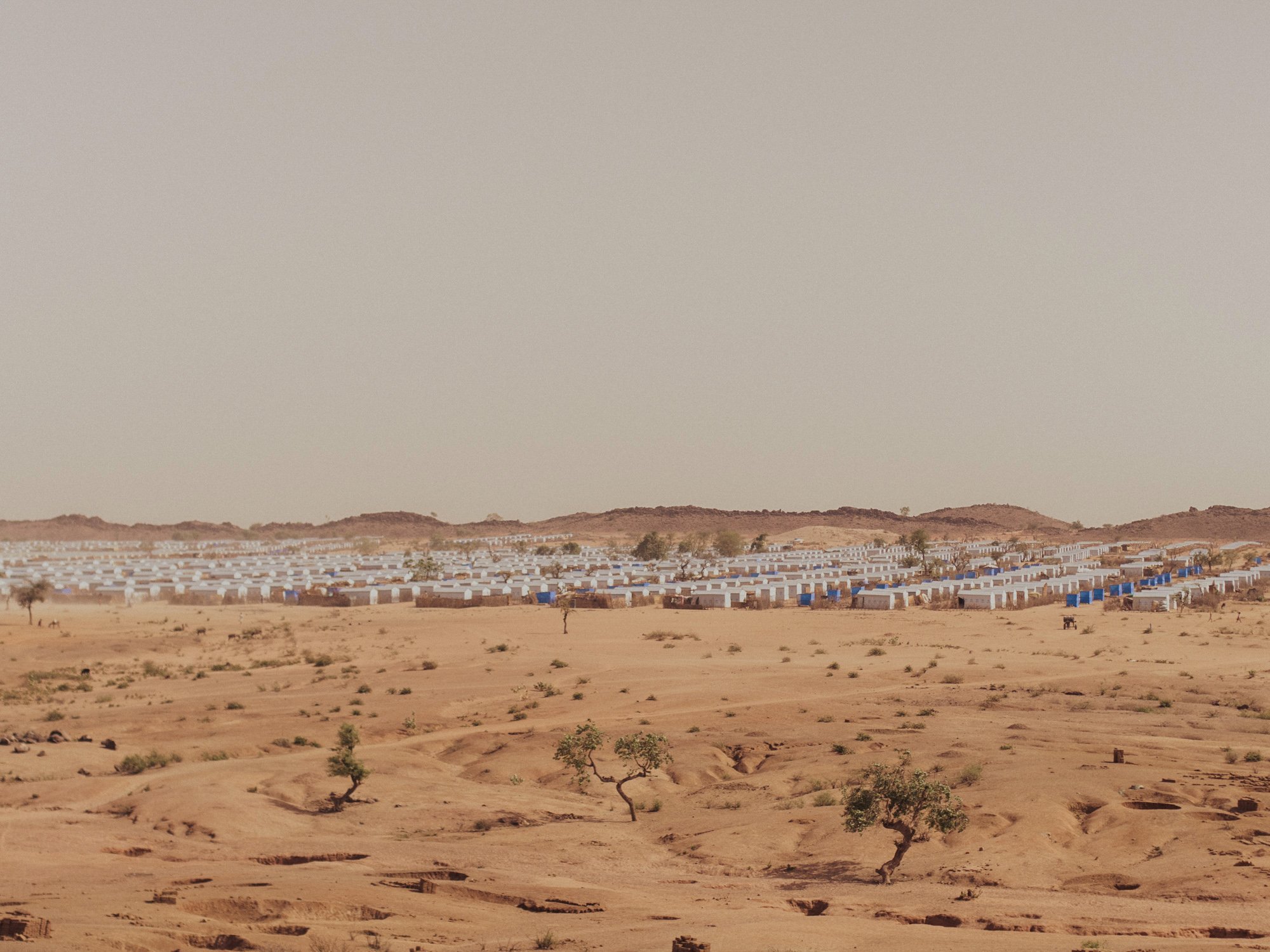 tchad_web_01.jpg