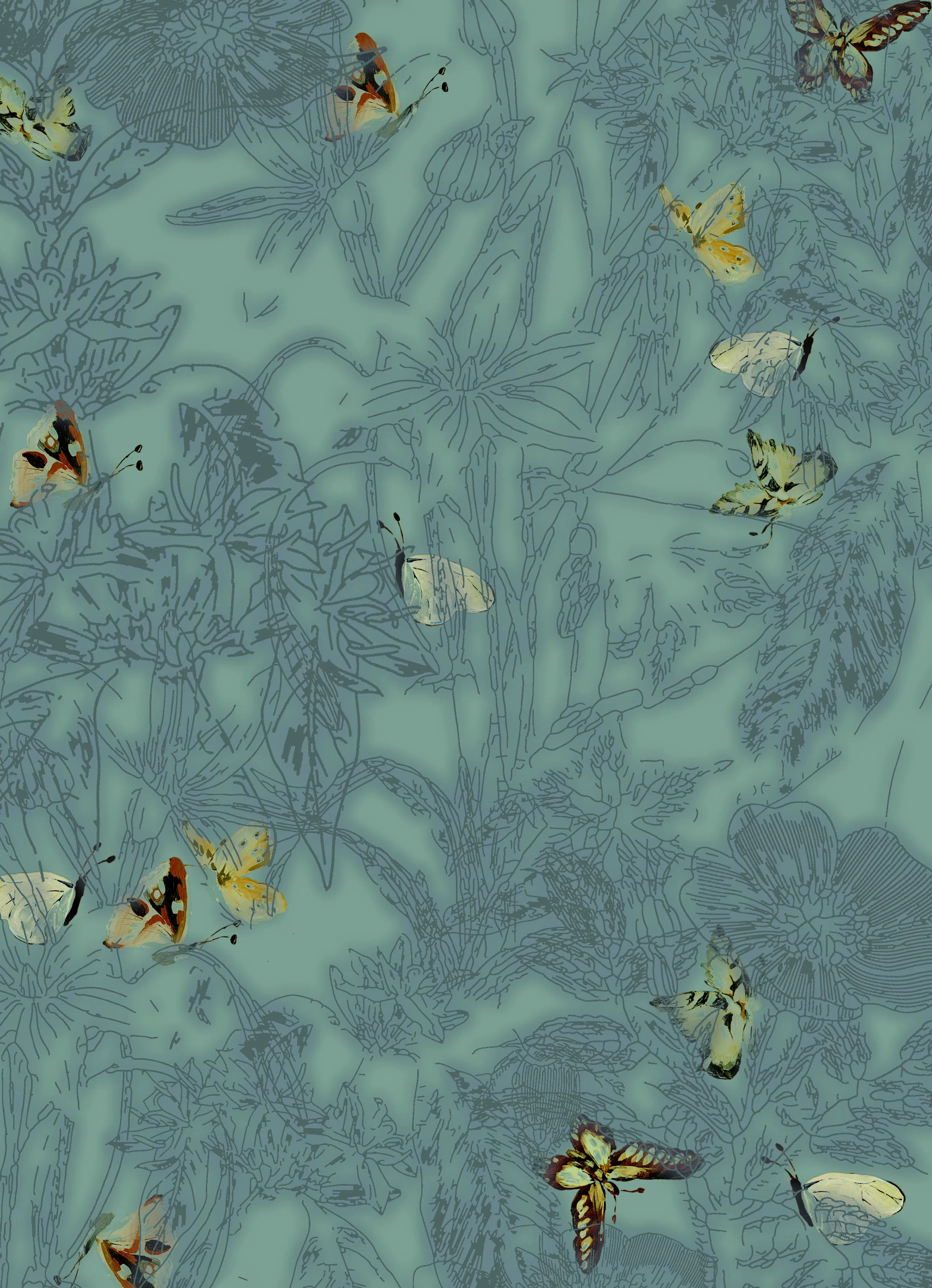 butterfly conversational.jpg