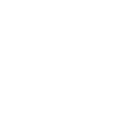 Wake_logo.png